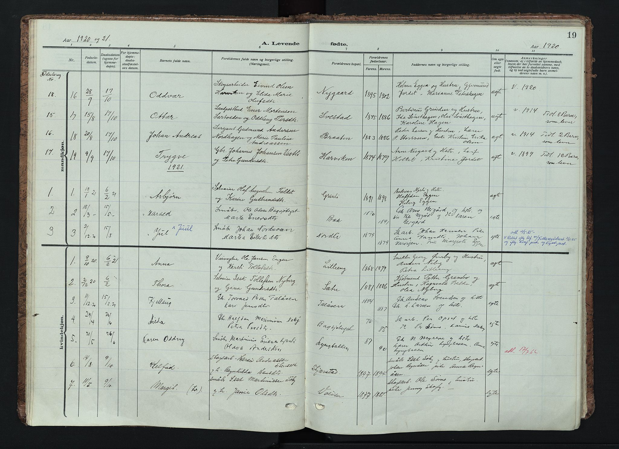 Trysil prestekontor, AV/SAH-PREST-046/H/Ha/Haa/L0016: Ministerialbok nr. 16, 1913-1946, s. 19