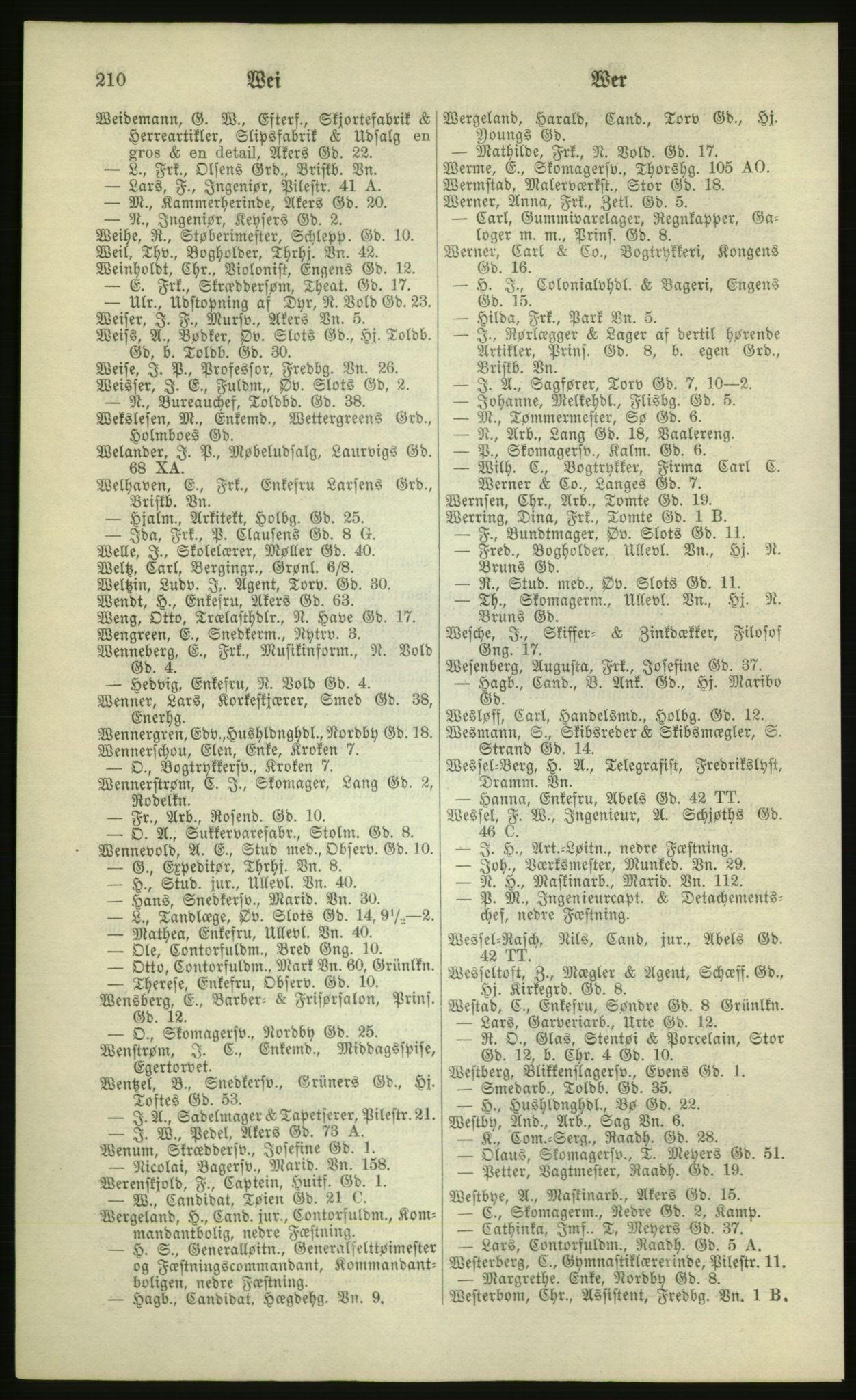 Kristiania/Oslo adressebok, PUBL/-, 1881, s. 210