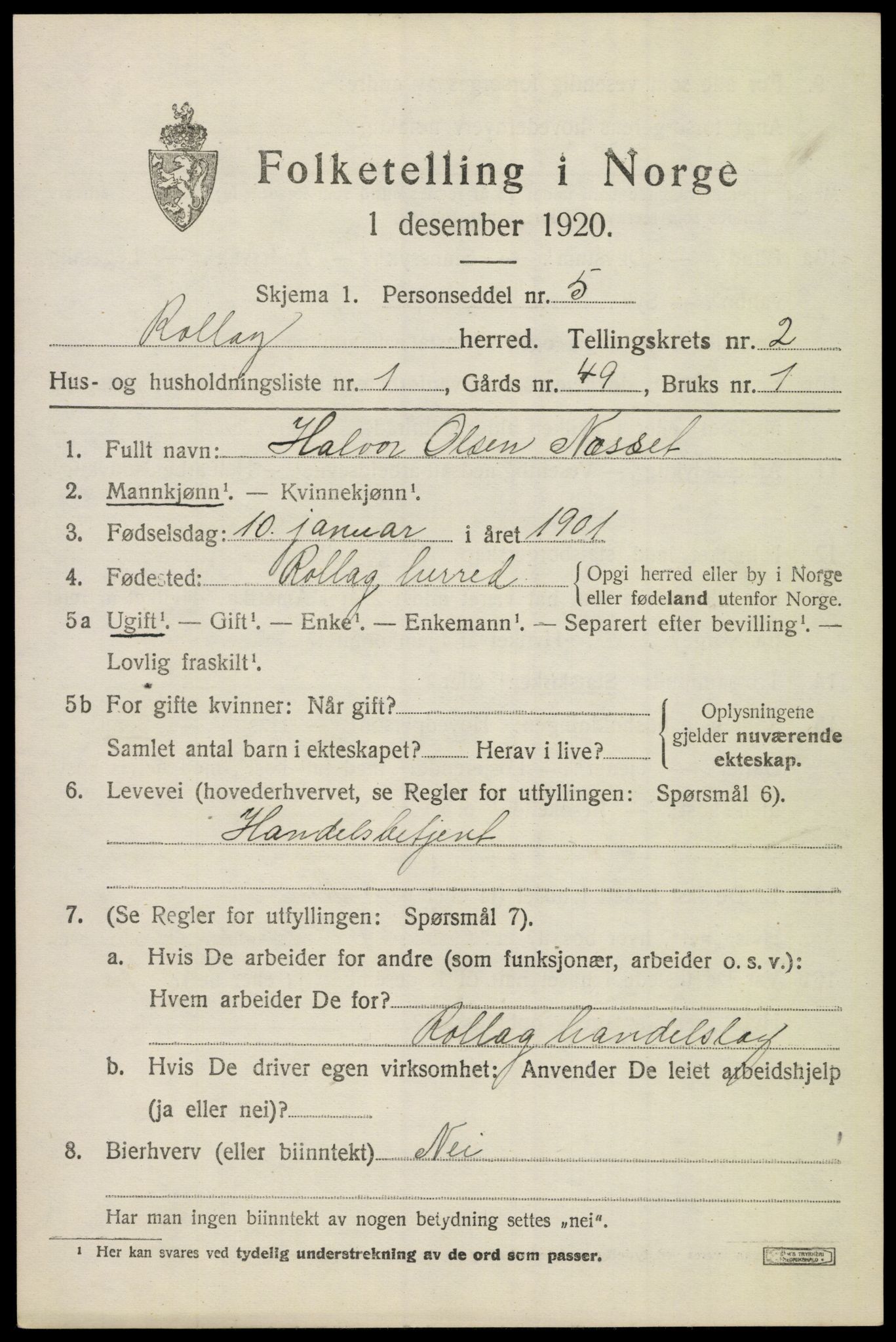 SAKO, Folketelling 1920 for 0632 Rollag herred, 1920, s. 962