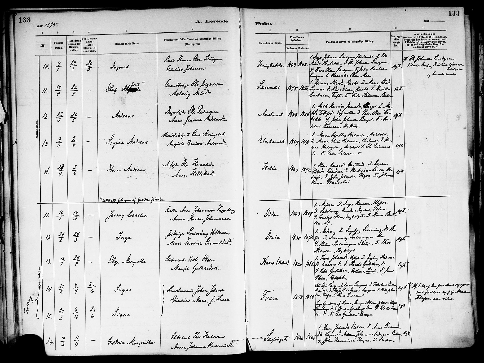 Holla kirkebøker, AV/SAKO-A-272/F/Fa/L0008: Ministerialbok nr. 8, 1882-1897, s. 133