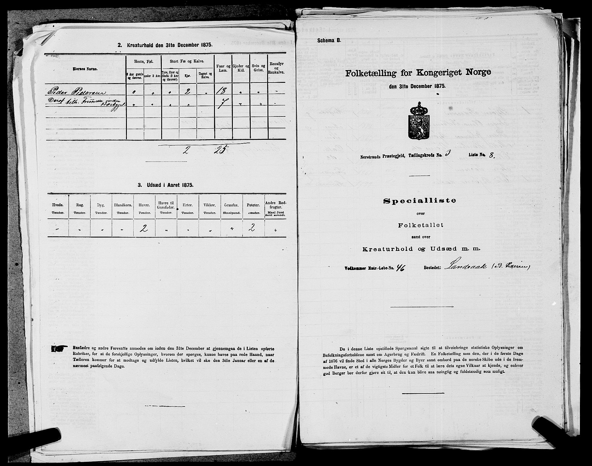 SAST, Folketelling 1875 for 1139P Nedstrand prestegjeld, 1875, s. 457