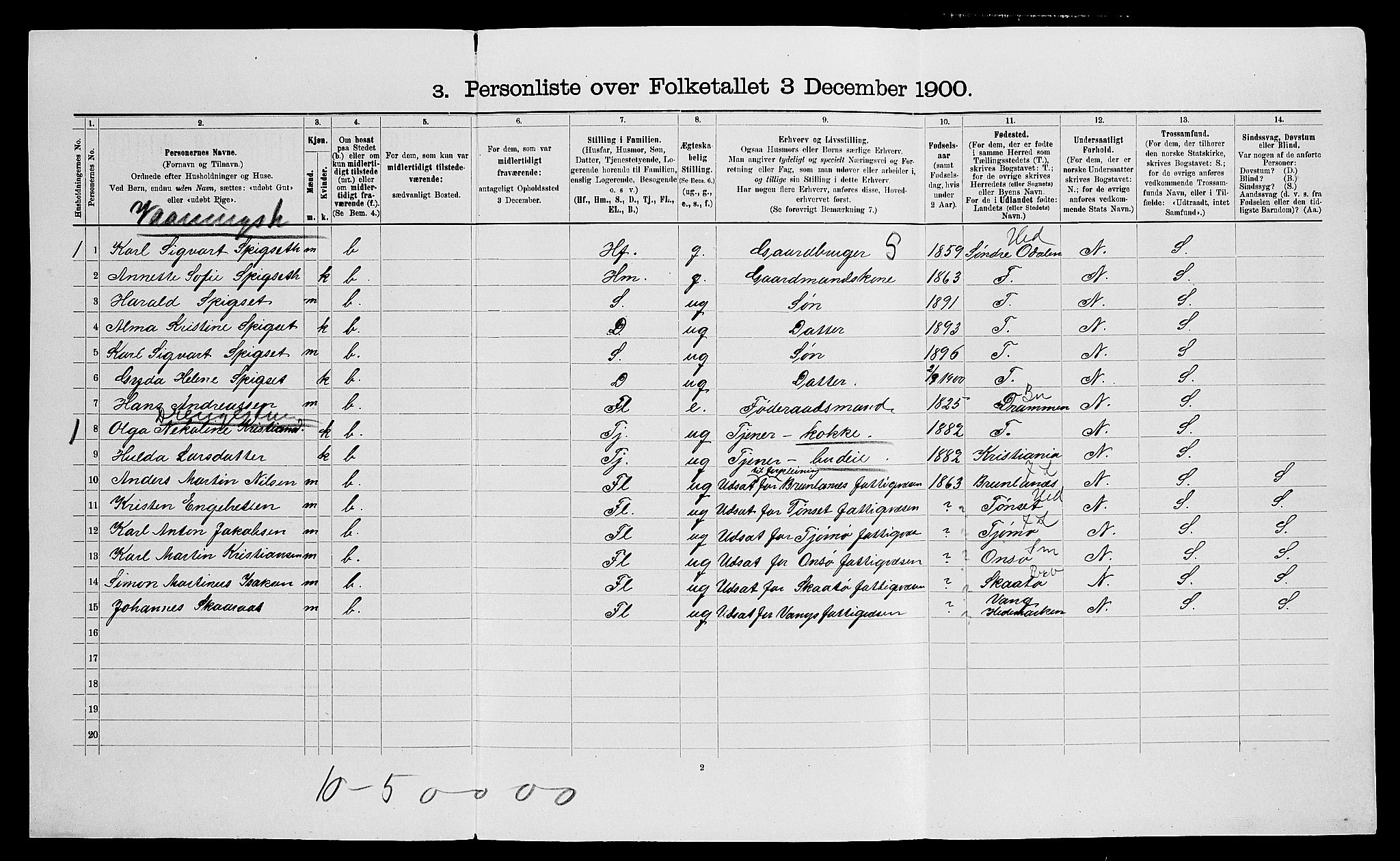 SAO, Folketelling 1900 for 0236 Nes herred, 1900