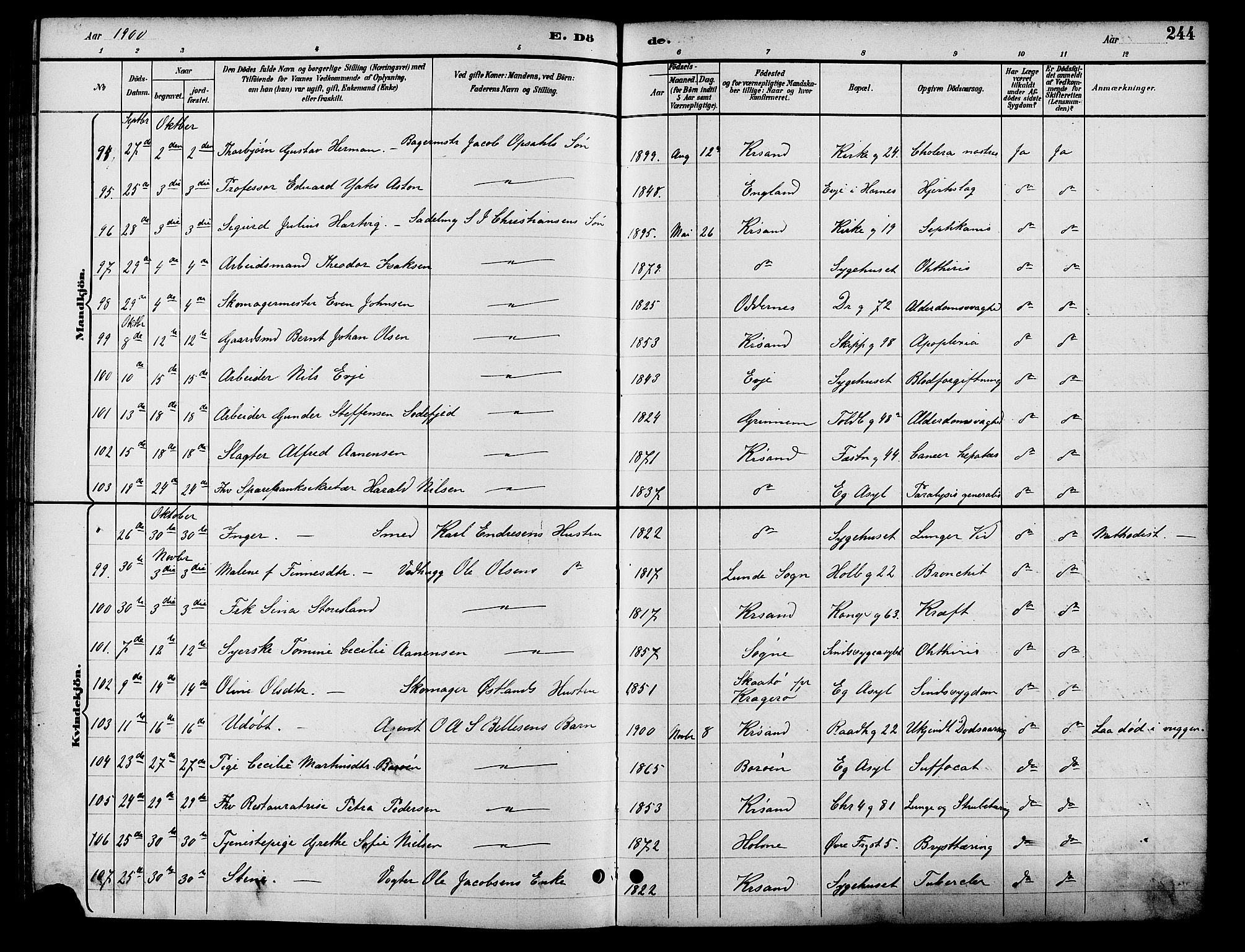 Kristiansand domprosti, AV/SAK-1112-0006/F/Fb/L0017: Klokkerbok nr. B 17, 1893-1906, s. 244