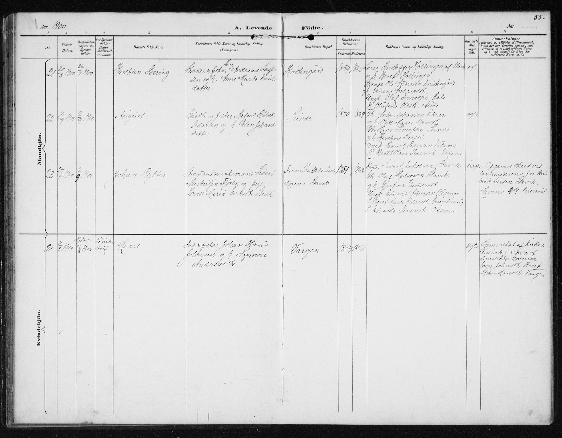 Ministerialprotokoller, klokkerbøker og fødselsregistre - Møre og Romsdal, AV/SAT-A-1454/566/L0773: Klokkerbok nr. 566C02, 1892-1909, s. 55