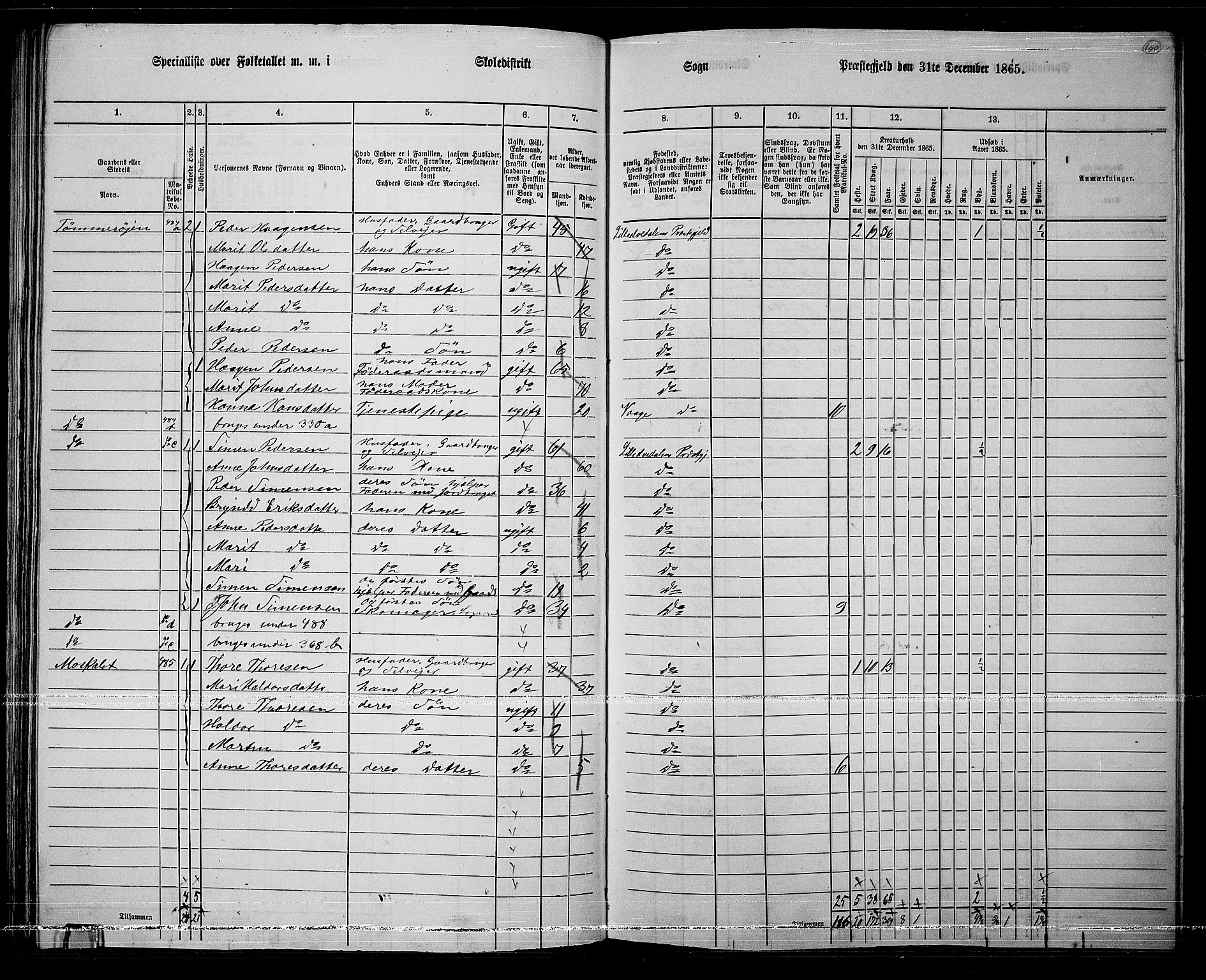 RA, Folketelling 1865 for 0438P Lille Elvedalen prestegjeld, 1865, s. 88