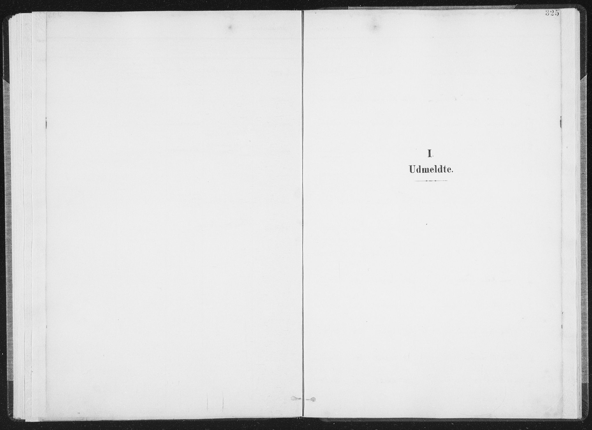 Ministerialprotokoller, klokkerbøker og fødselsregistre - Nordland, AV/SAT-A-1459/805/L0103: Ministerialbok nr. 805A08II, 1900-1909, s. 325