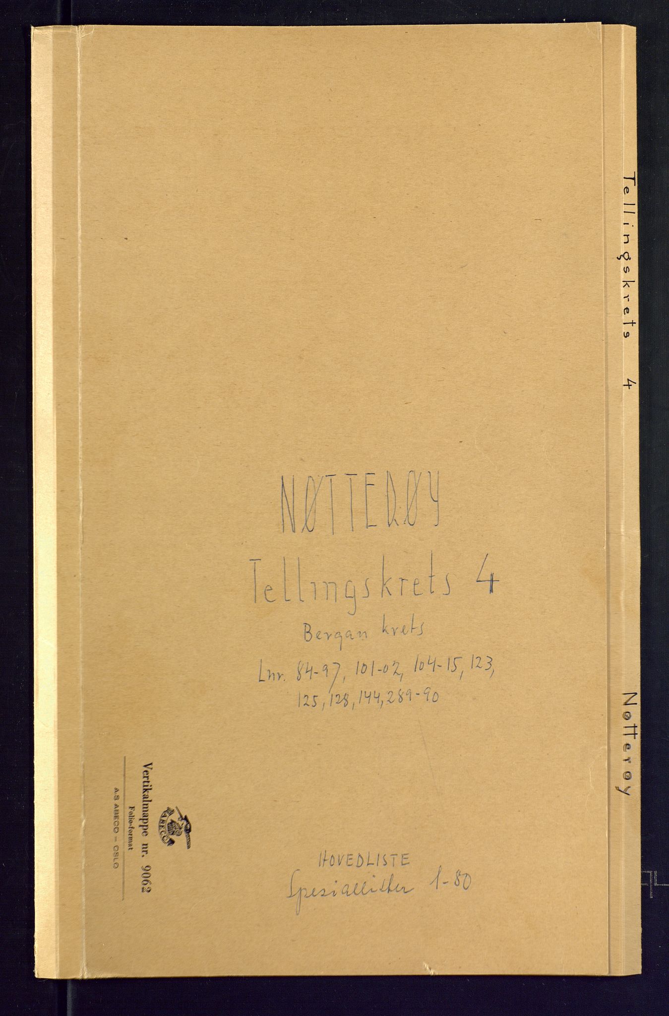 SAKO, Folketelling 1875 for 0722P Nøtterøy prestegjeld, 1875, s. 19