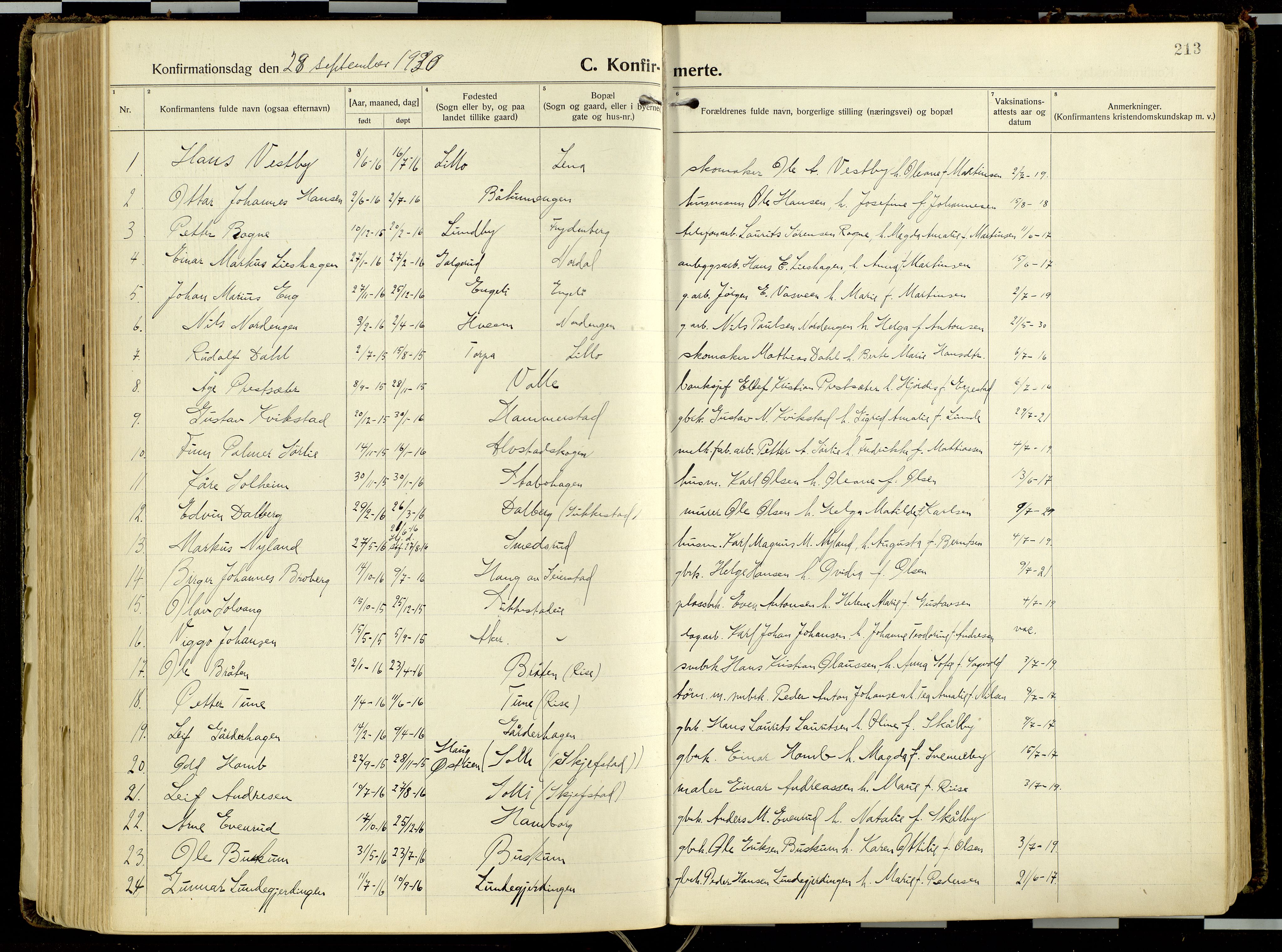 Østre Toten prestekontor, AV/SAH-PREST-104/H/Ha/Haa/L0011: Ministerialbok nr. 11, 1921-1935, s. 213