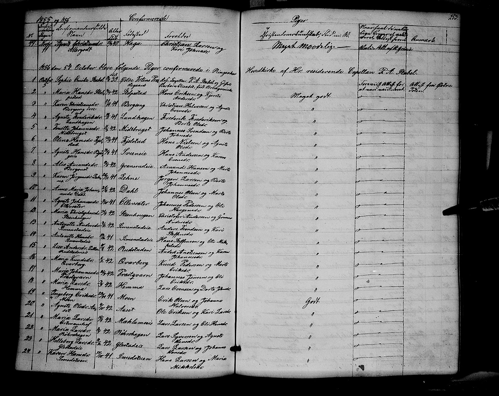 Ringsaker prestekontor, AV/SAH-PREST-014/K/Ka/L0009: Ministerialbok nr. 9, 1850-1860, s. 253