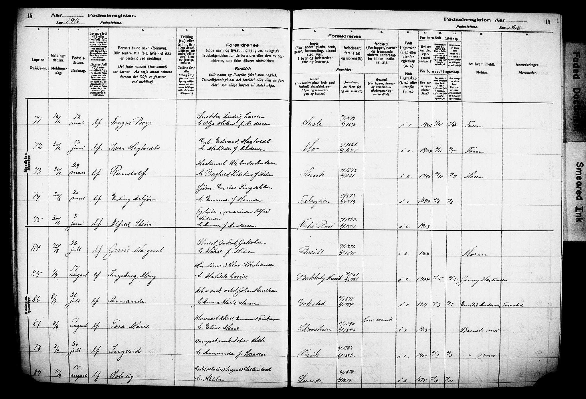 Sandar kirkebøker, AV/SAKO-A-243/J/Ja/L0001: Fødselsregister nr. 1, 1916-1922, s. 15