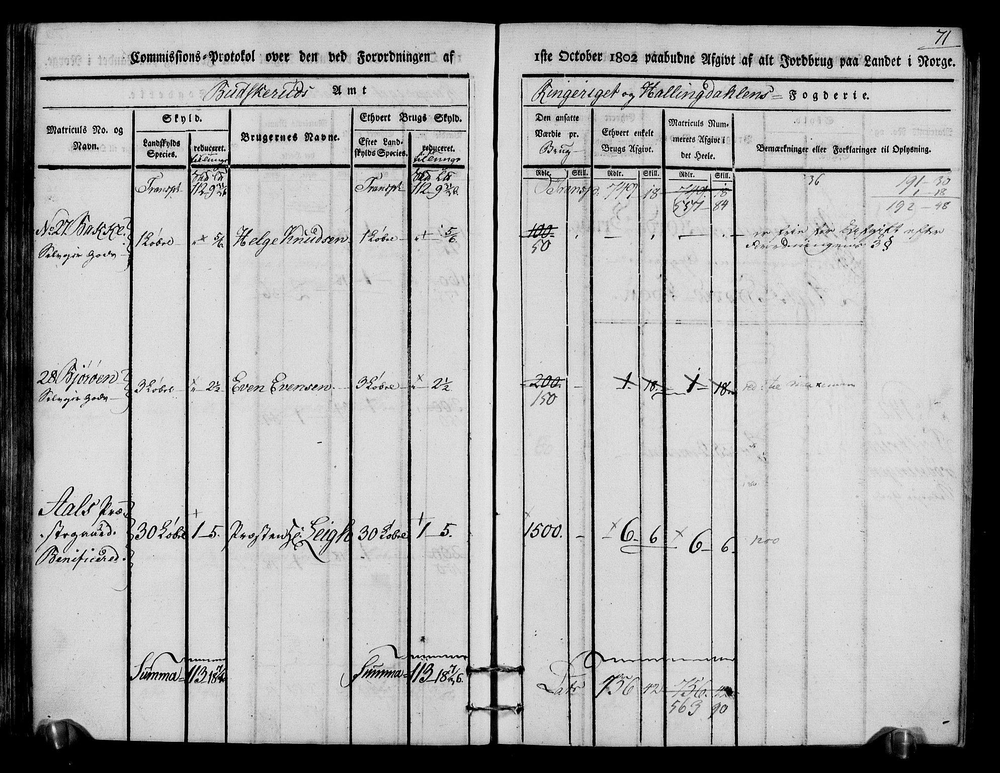 Rentekammeret inntil 1814, Realistisk ordnet avdeling, AV/RA-EA-4070/N/Ne/Nea/L0048: Ringerike og Hallingdal fogderi. Kommisjonsprotokoll for Ål prestegjeld, 1803, s. 75