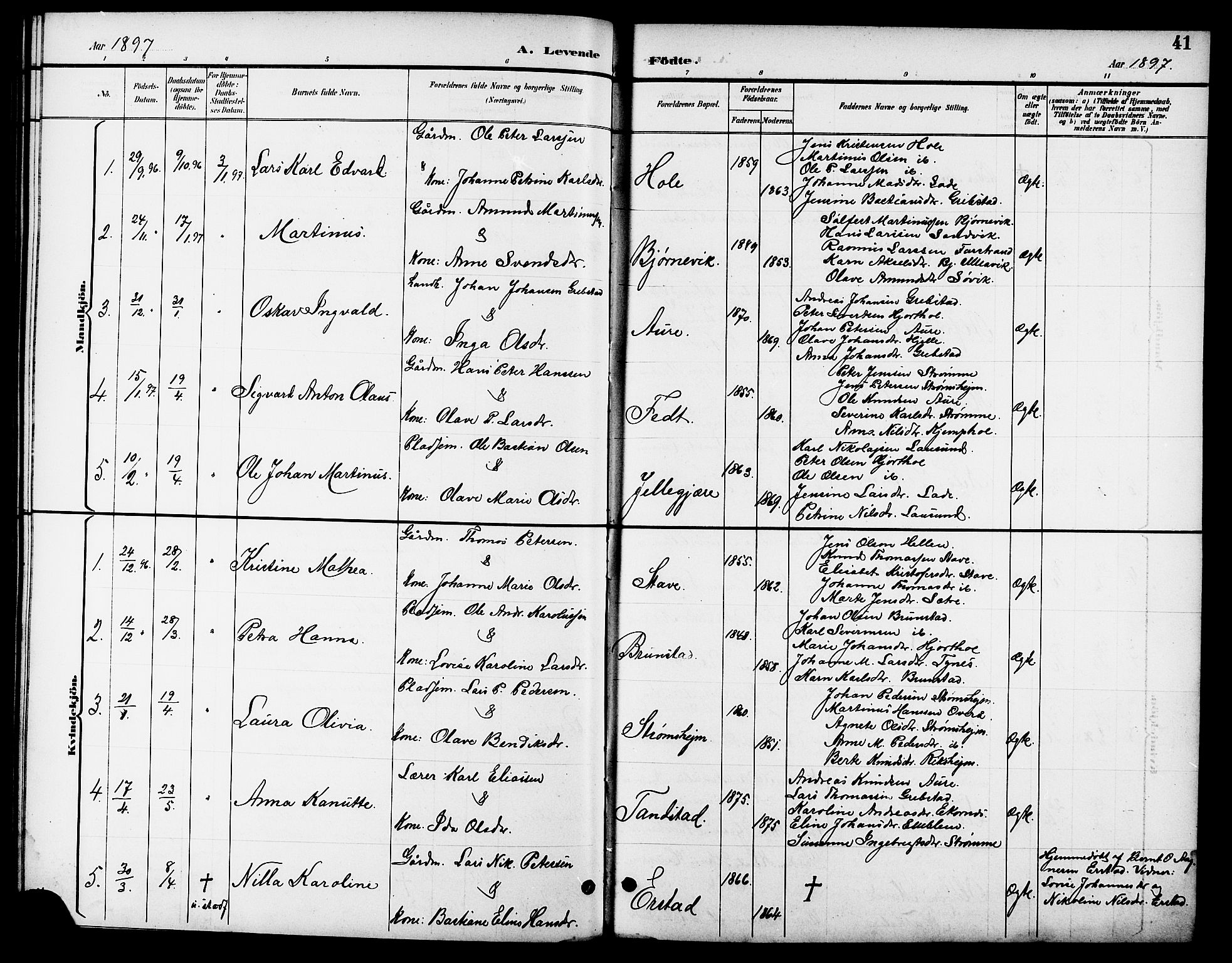 Ministerialprotokoller, klokkerbøker og fødselsregistre - Møre og Romsdal, AV/SAT-A-1454/523/L0340: Klokkerbok nr. 523C03, 1892-1902, s. 41