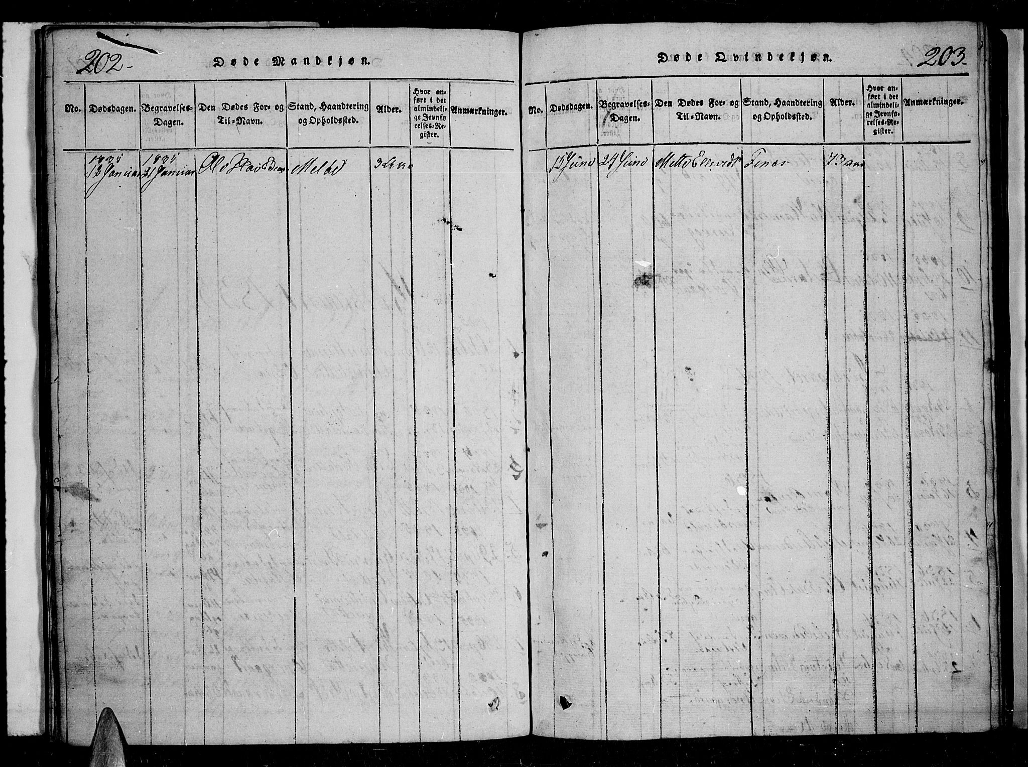 Trondenes sokneprestkontor, SATØ/S-1319/H/Hb/L0004klokker: Klokkerbok nr. 4, 1821-1839, s. 202-203