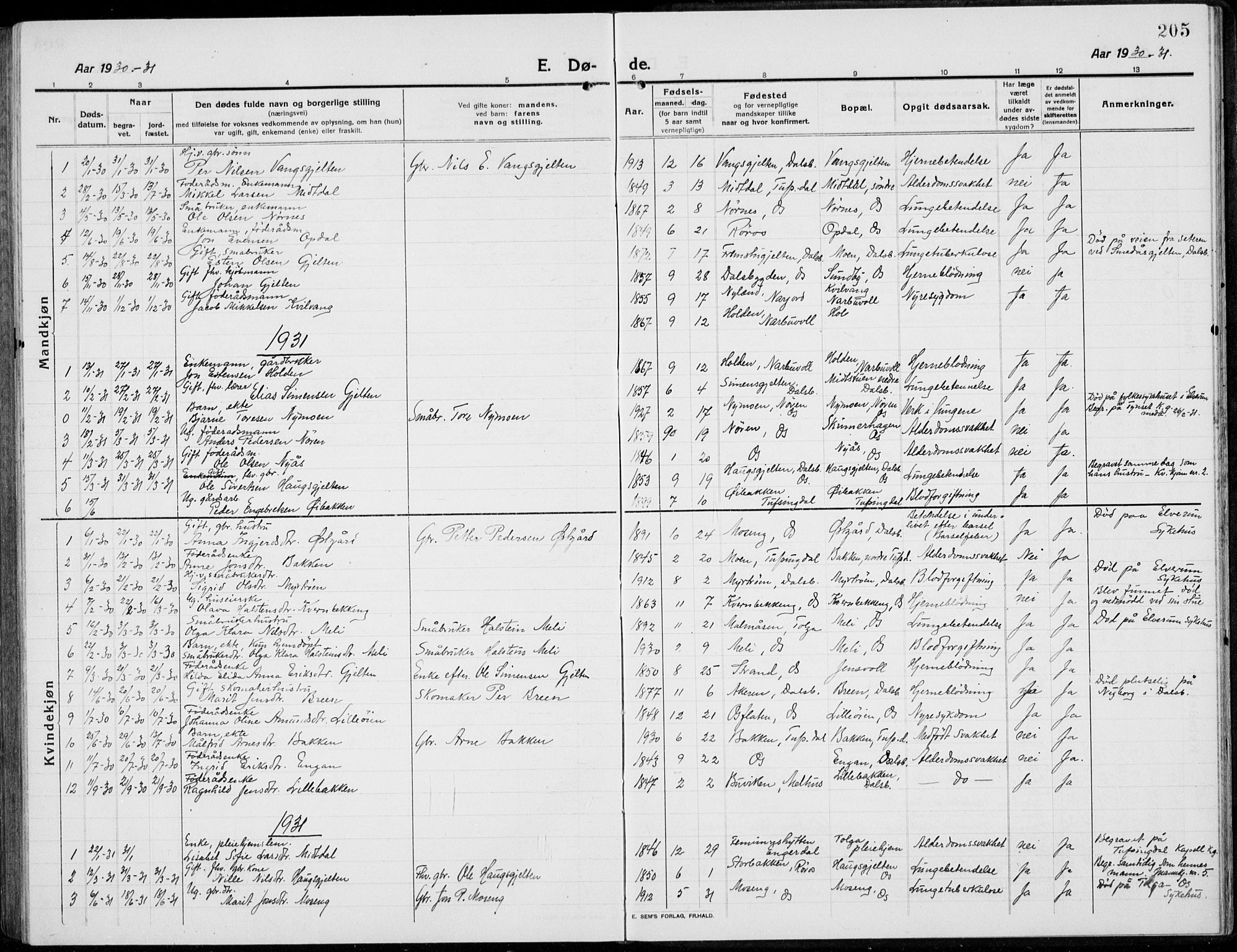 Tolga prestekontor, AV/SAH-PREST-062/L/L0014: Klokkerbok nr. 14, 1913-1936, s. 205