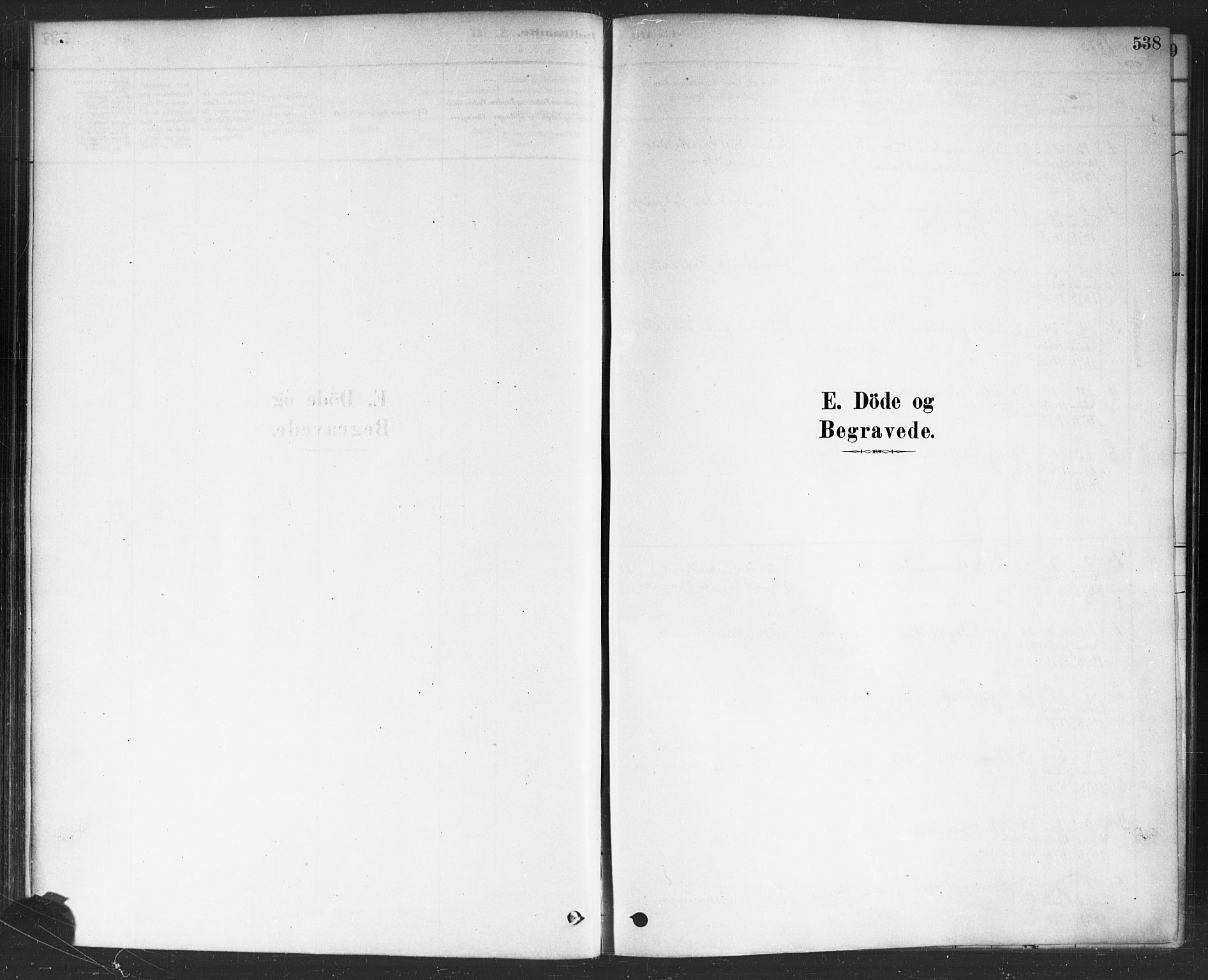 Onsøy prestekontor Kirkebøker, AV/SAO-A-10914/F/Fa/L0006: Ministerialbok nr. I 6, 1878-1898, s. 538