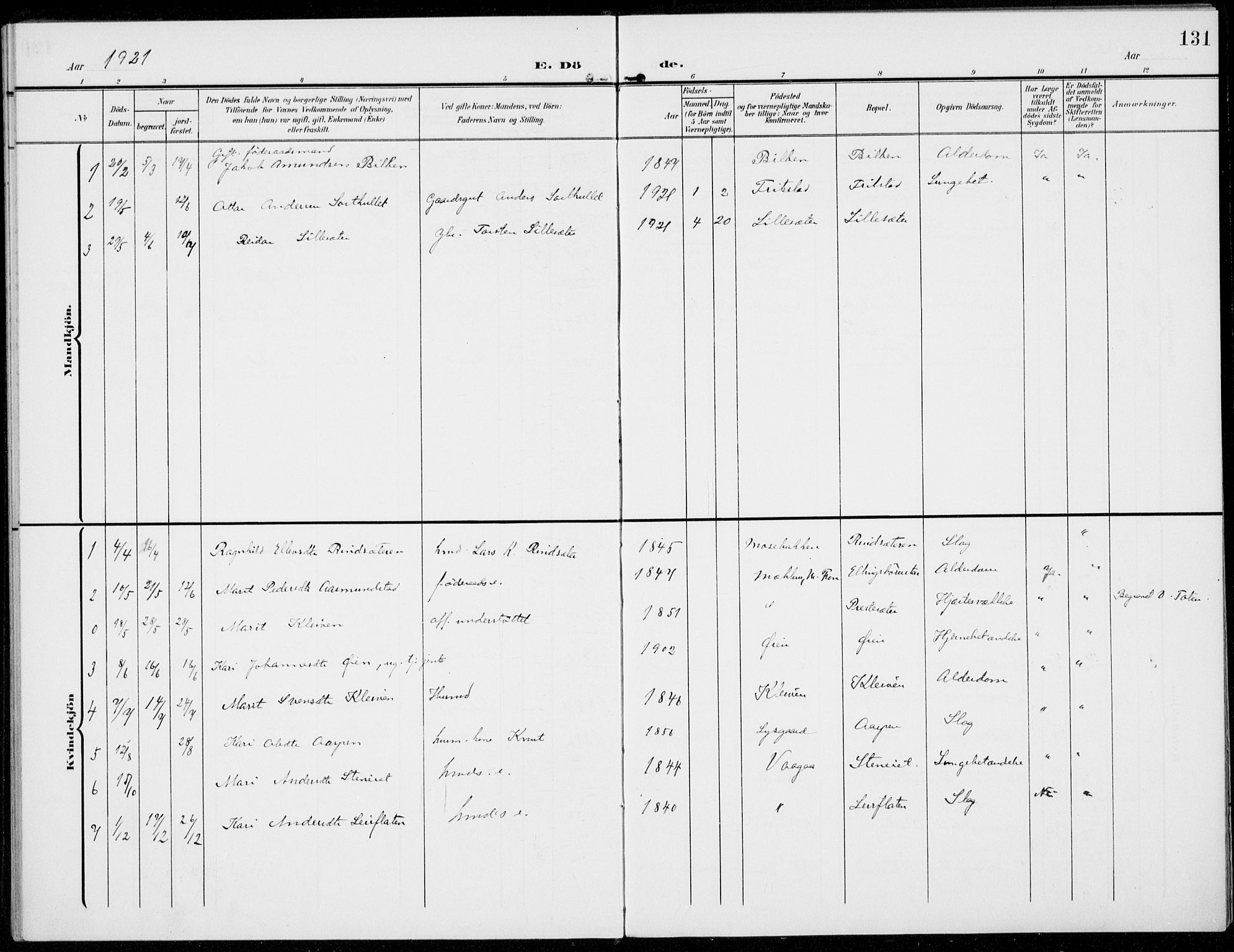 Sel prestekontor, AV/SAH-PREST-074/H/Ha/Haa/L0001: Ministerialbok nr. 1, 1905-1922, s. 131