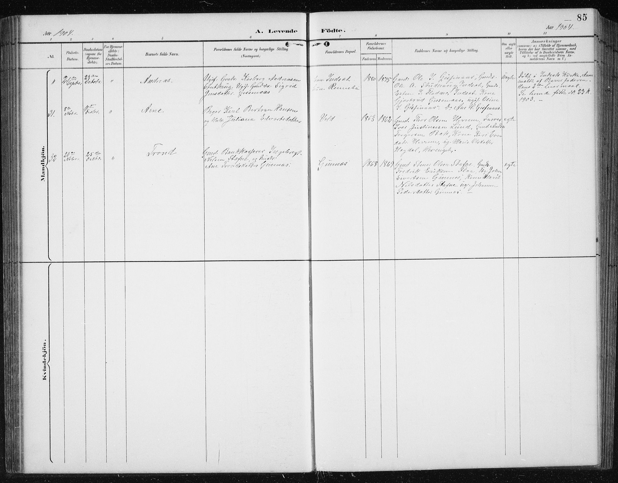 Ministerialprotokoller, klokkerbøker og fødselsregistre - Sør-Trøndelag, SAT/A-1456/674/L0876: Klokkerbok nr. 674C03, 1892-1912, s. 85