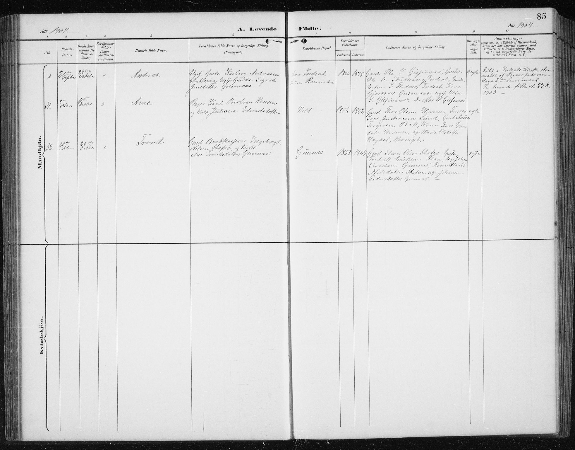 Ministerialprotokoller, klokkerbøker og fødselsregistre - Sør-Trøndelag, AV/SAT-A-1456/674/L0876: Klokkerbok nr. 674C03, 1892-1912, s. 85