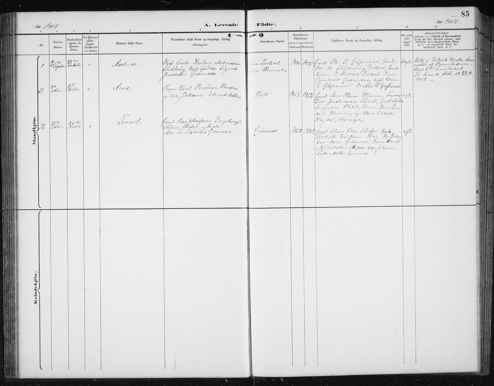 Ministerialprotokoller, klokkerbøker og fødselsregistre - Sør-Trøndelag, AV/SAT-A-1456/674/L0876: Klokkerbok nr. 674C03, 1892-1912, s. 85