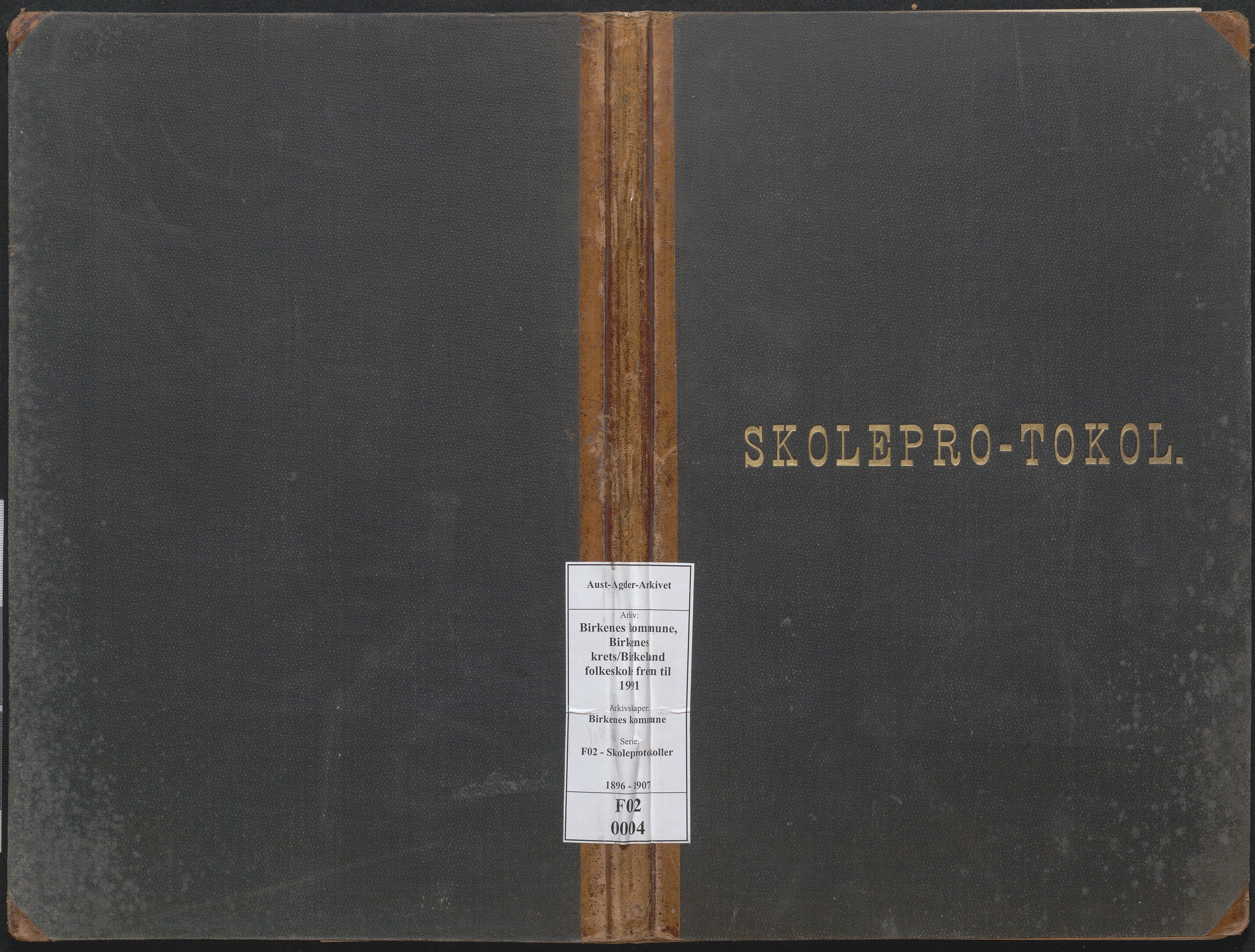 Birkenes kommune, Birkenes krets/Birkeland folkeskole frem til 1991, AAKS/KA0928-550a_91/F02/L0004: Skoleprotokoll, 1896-1907