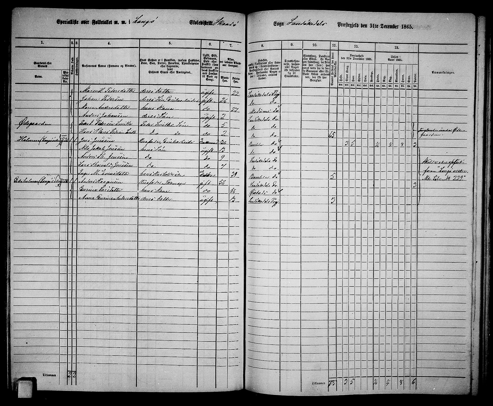 RA, Folketelling 1865 for 0816L Kragerø prestegjeld, Sannidal sokn og Skåtøy sokn, 1865, s. 175