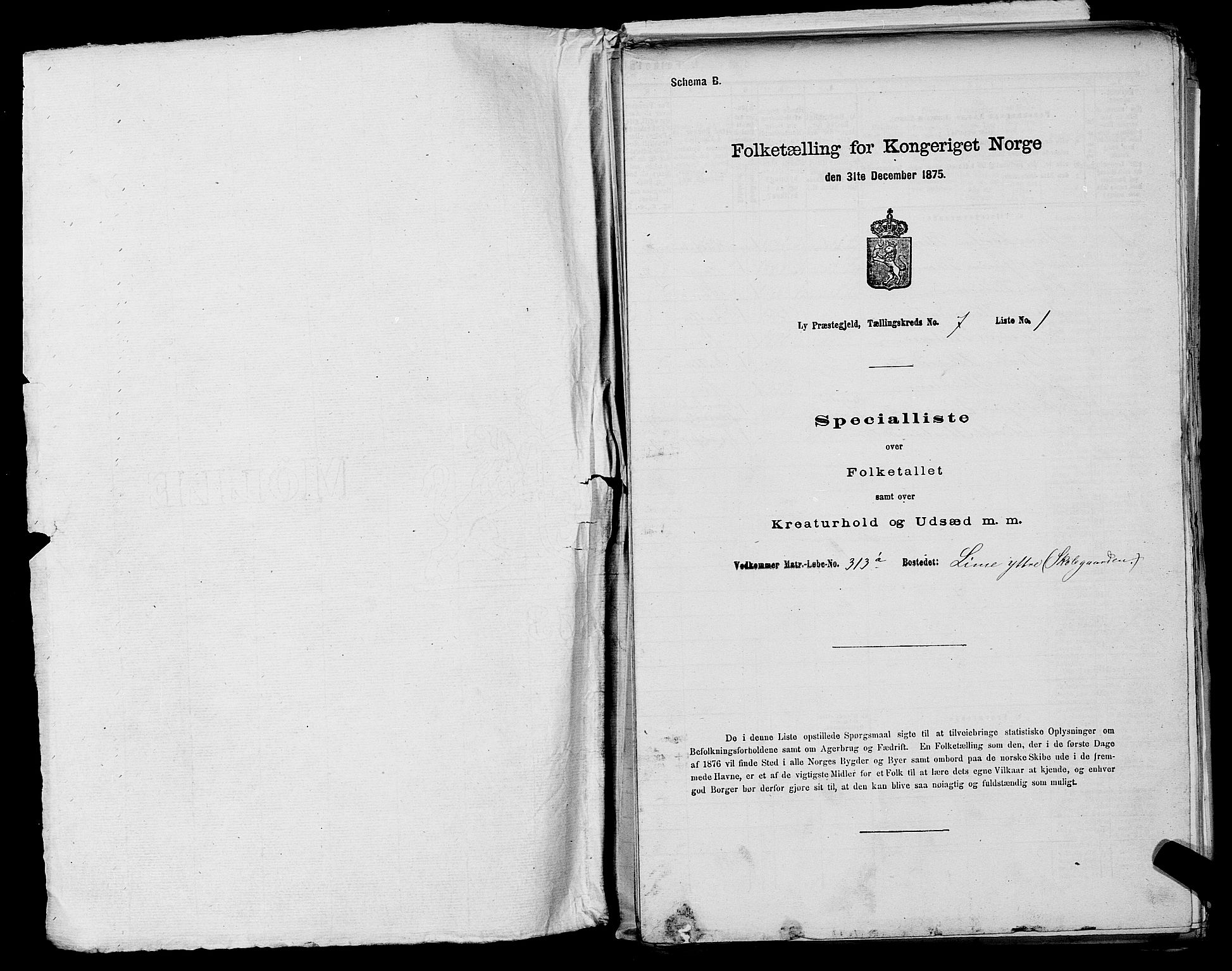 SAST, Folketelling 1875 for 1121P Lye prestegjeld, 1875, s. 809