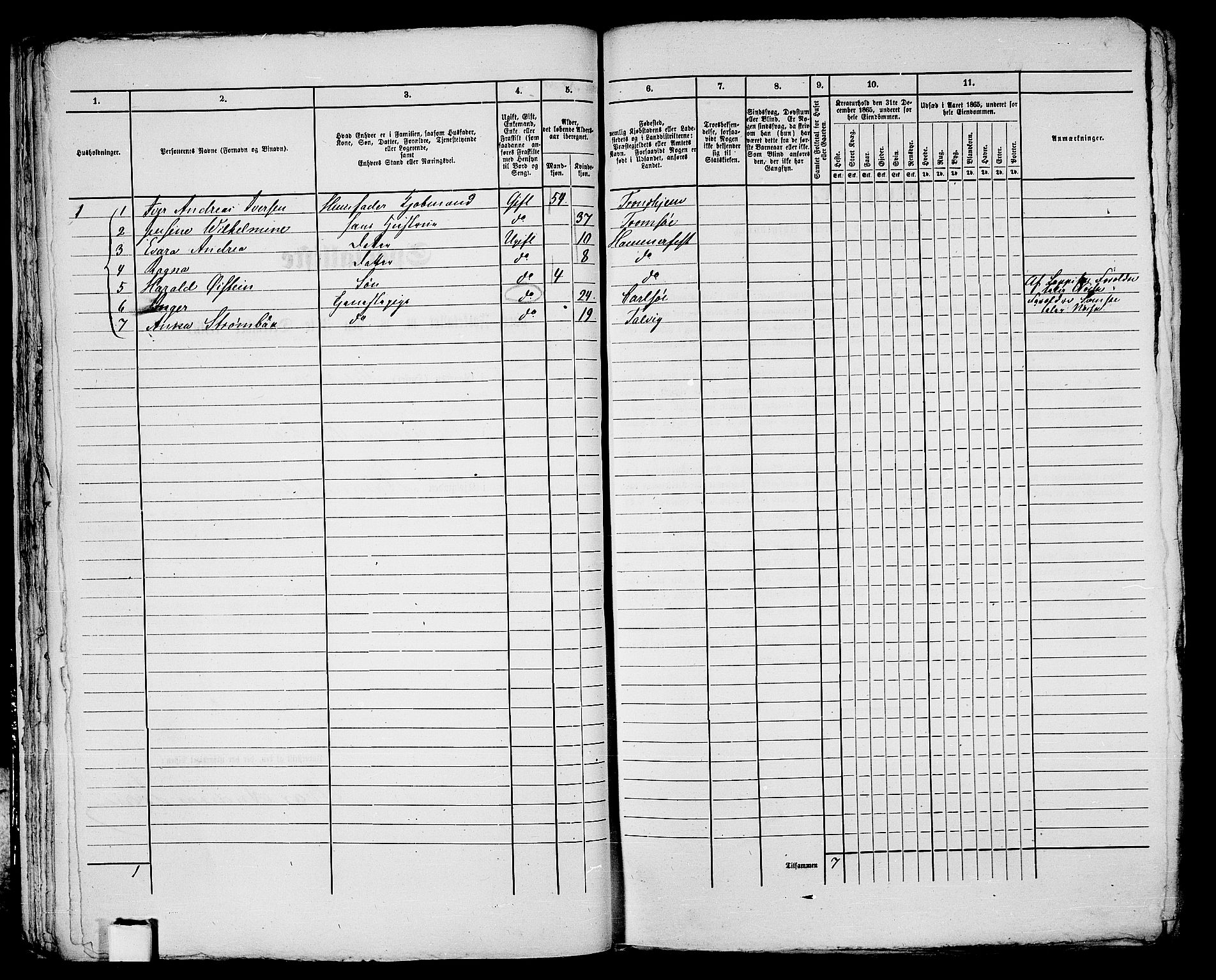 RA, Folketelling 1865 for 2001B Hammerfest prestegjeld, Hammerfest kjøpstad, 1865, s. 47