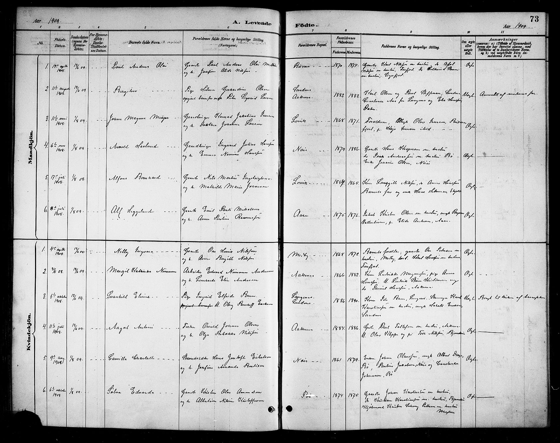 Ministerialprotokoller, klokkerbøker og fødselsregistre - Nordland, SAT/A-1459/898/L1427: Klokkerbok nr. 898C02, 1887-1917, s. 73