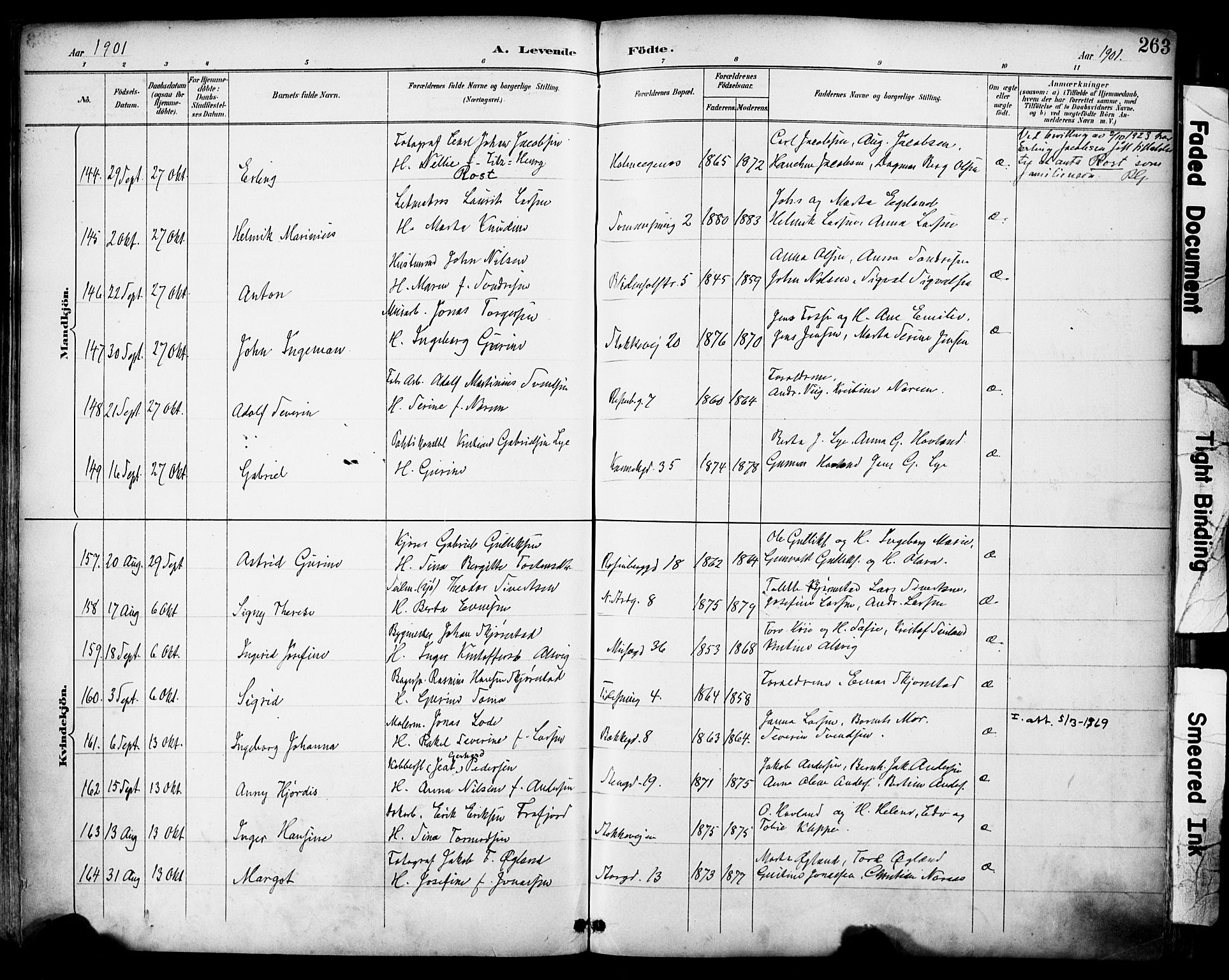 Domkirken sokneprestkontor, AV/SAST-A-101812/001/30/30BA/L0030: Ministerialbok nr. A 29, 1889-1902, s. 263