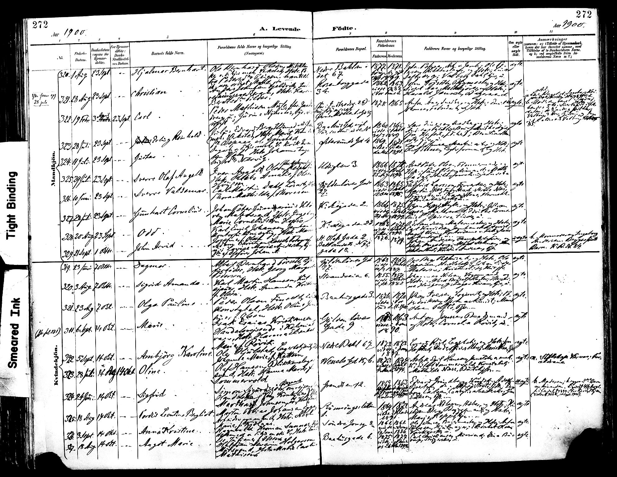 Ministerialprotokoller, klokkerbøker og fødselsregistre - Sør-Trøndelag, SAT/A-1456/604/L0197: Ministerialbok nr. 604A18, 1893-1900, s. 272