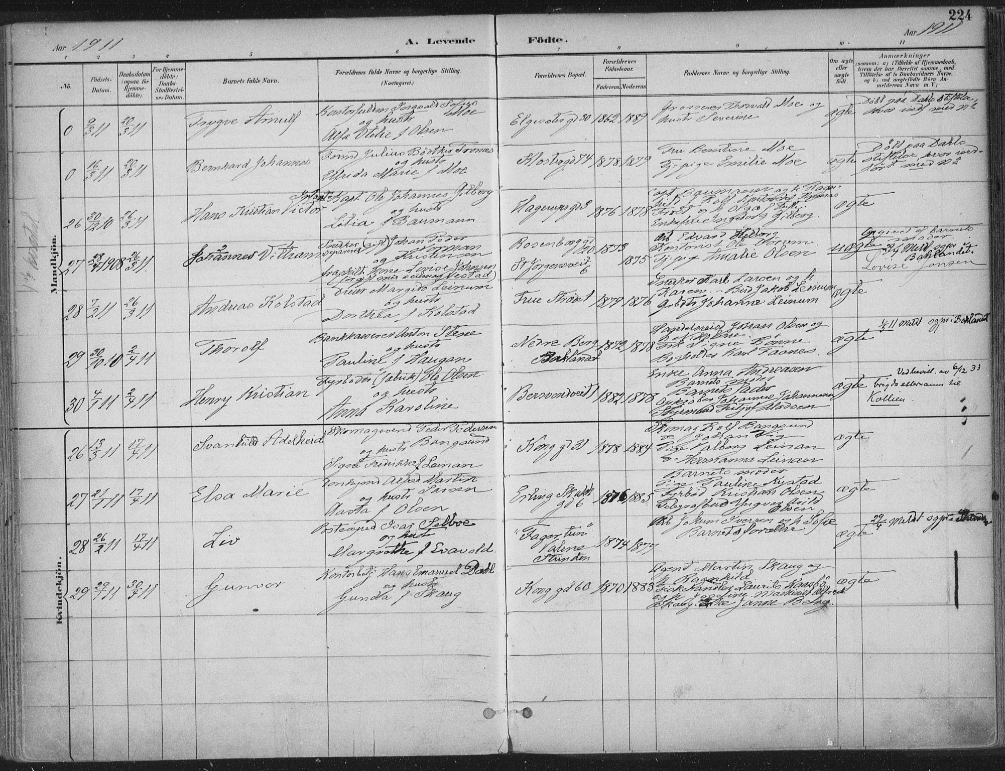 Ministerialprotokoller, klokkerbøker og fødselsregistre - Sør-Trøndelag, SAT/A-1456/601/L0062: Ministerialbok nr. 601A30, 1891-1911, s. 224