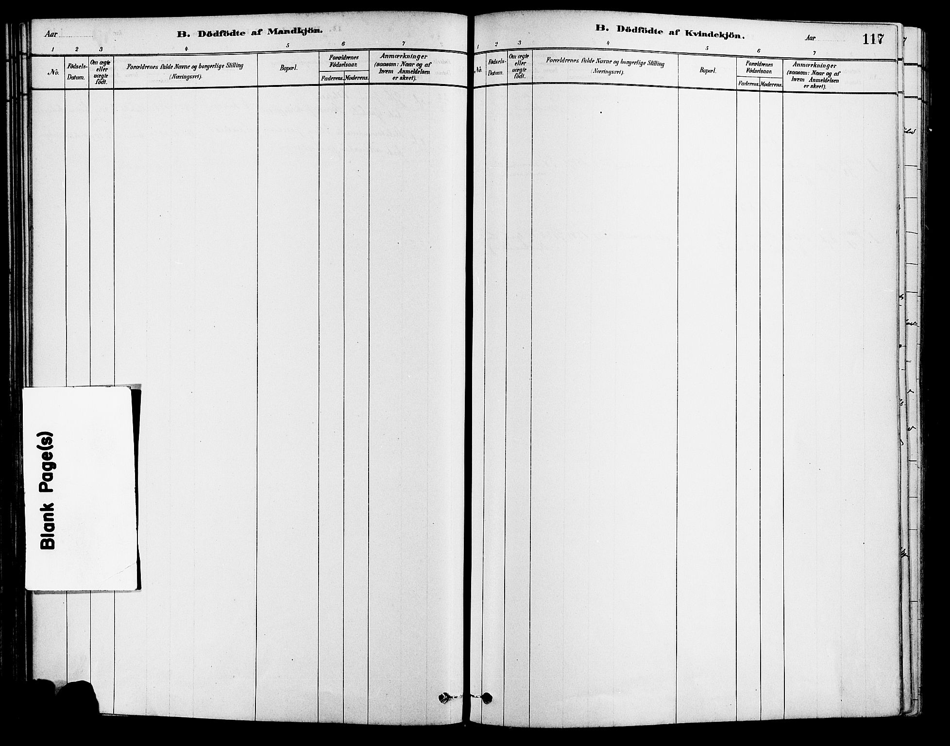 Tromøy sokneprestkontor, AV/SAK-1111-0041/F/Fa/L0009: Ministerialbok nr. A 9, 1878-1896, s. 117