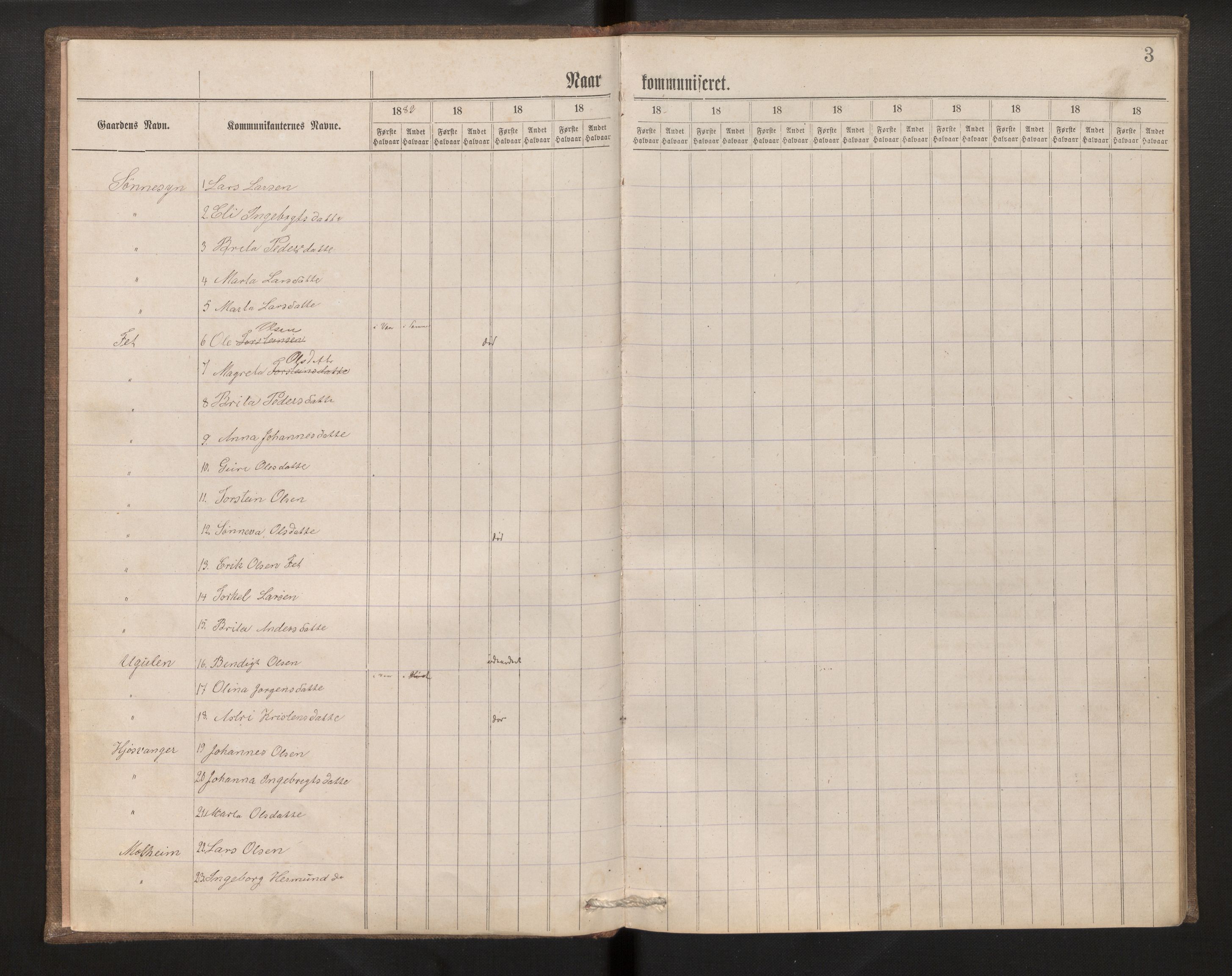 Hafslo sokneprestembete, AV/SAB-A-80301/H/Hb/L0001: Kommunikantprotokoll nr. 1, 1882-1920, s. 3