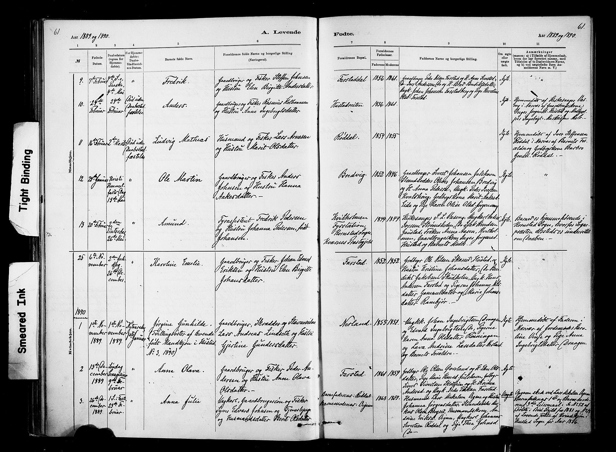 Ministerialprotokoller, klokkerbøker og fødselsregistre - Møre og Romsdal, AV/SAT-A-1454/567/L0778: Ministerialbok nr. 567A01, 1881-1903, s. 61