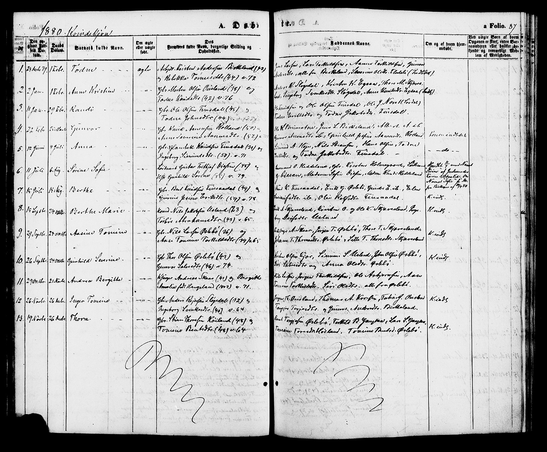 Holum sokneprestkontor, AV/SAK-1111-0022/F/Fa/Fac/L0003: Ministerialbok nr. A 3, 1860-1883, s. 87