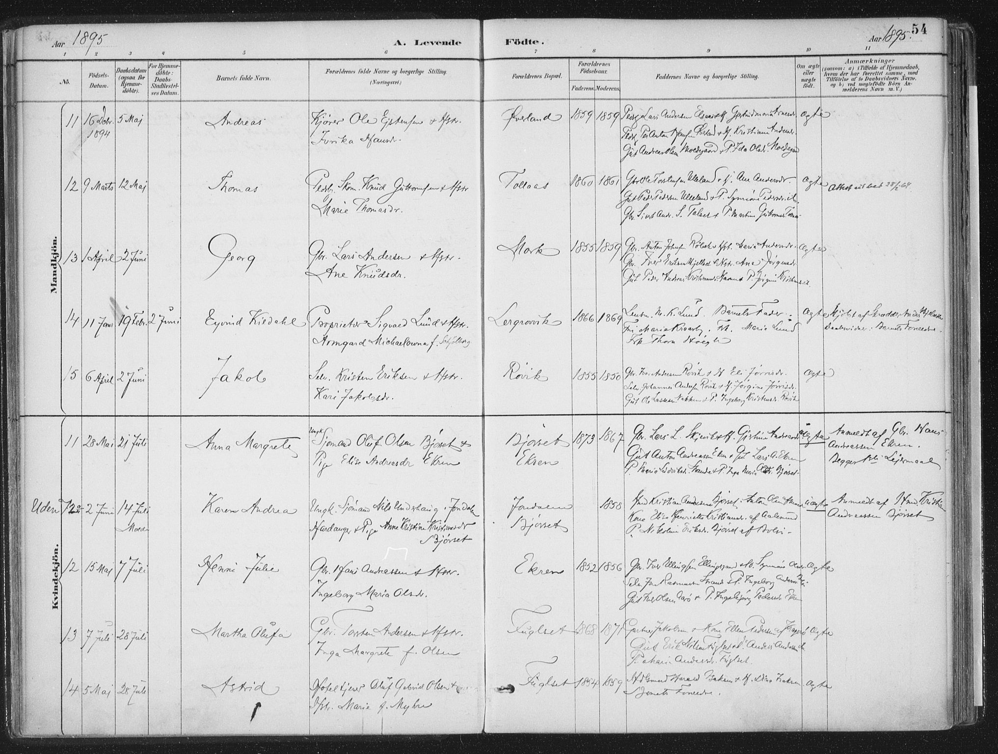 Ministerialprotokoller, klokkerbøker og fødselsregistre - Møre og Romsdal, SAT/A-1454/555/L0658: Ministerialbok nr. 555A09, 1887-1917, s. 54