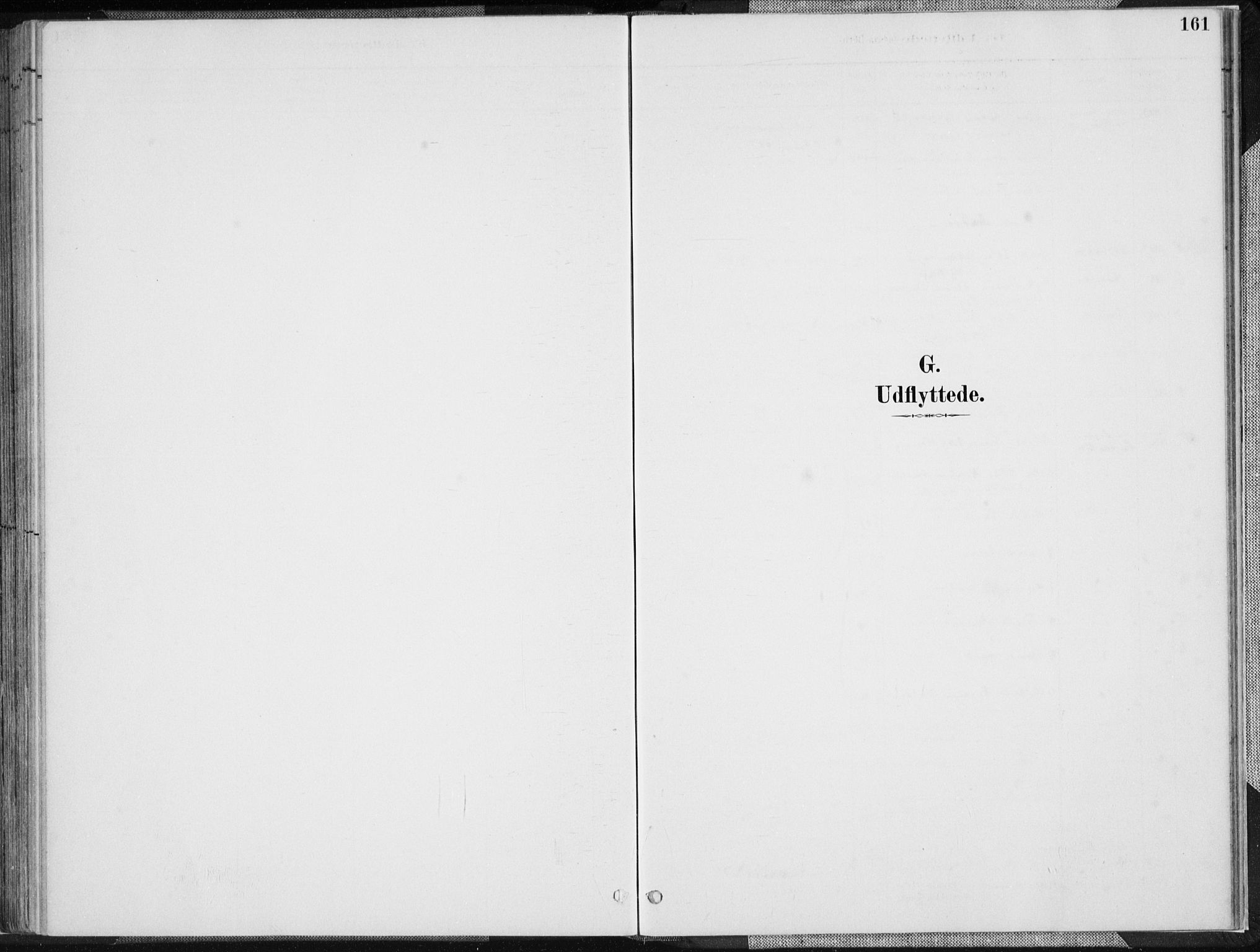 Herad sokneprestkontor, AV/SAK-1111-0018/F/Fa/Faa/L0006: Ministerialbok nr. A 6, 1887-1907, s. 161