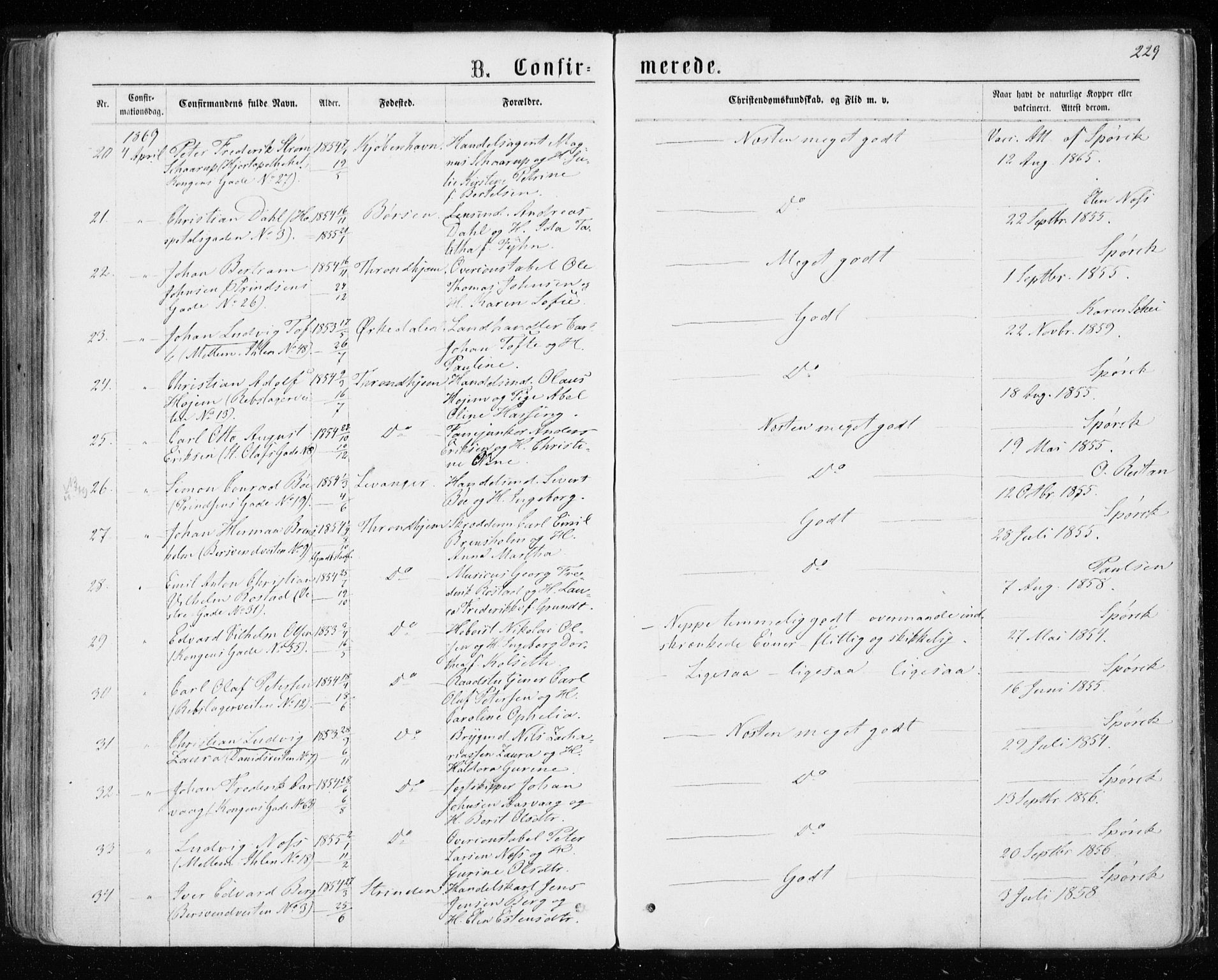 Ministerialprotokoller, klokkerbøker og fødselsregistre - Sør-Trøndelag, SAT/A-1456/601/L0054: Ministerialbok nr. 601A22, 1866-1877, s. 229