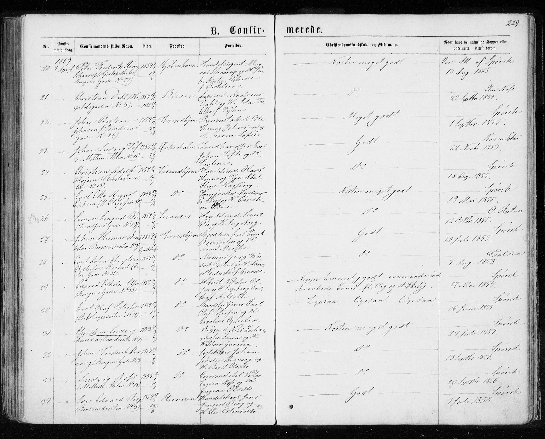 Ministerialprotokoller, klokkerbøker og fødselsregistre - Sør-Trøndelag, AV/SAT-A-1456/601/L0054: Ministerialbok nr. 601A22, 1866-1877, s. 229