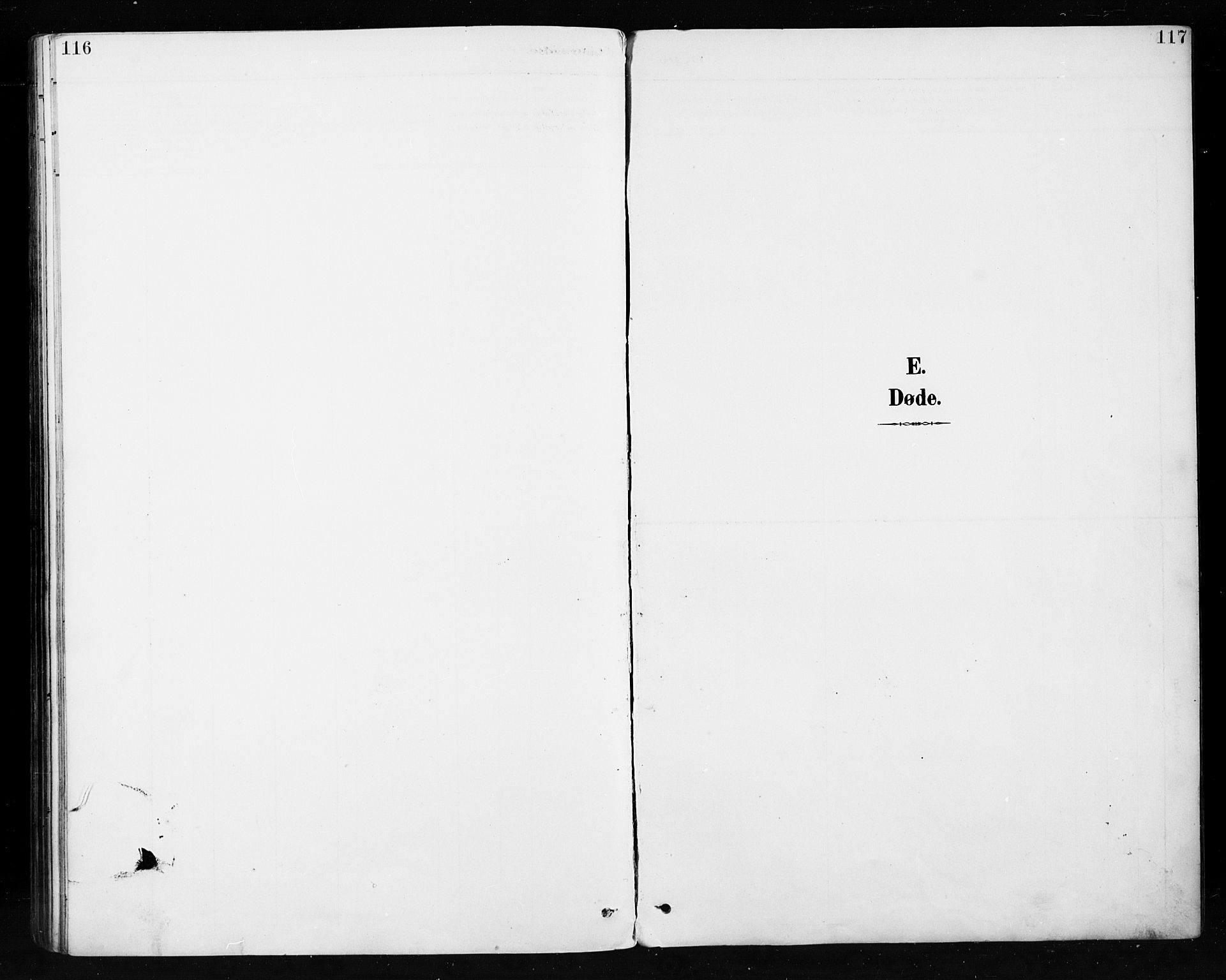 Etnedal prestekontor, AV/SAH-PREST-130/H/Ha/Hab/Habb/L0001: Klokkerbok nr. II 1, 1894-1911, s. 116-117