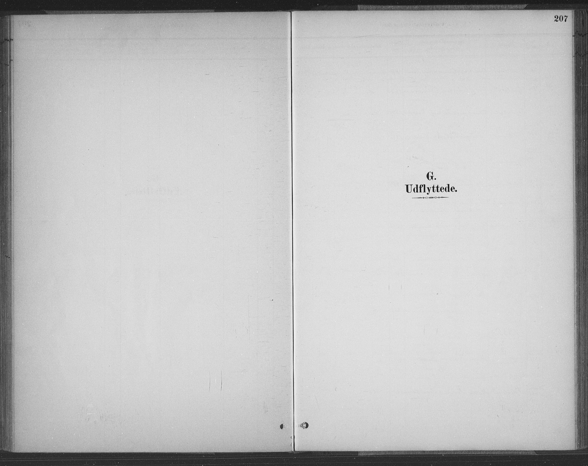 Vennesla sokneprestkontor, SAK/1111-0045/Fa/Fac/L0009: Ministerialbok nr. A 9, 1884-1901, s. 207
