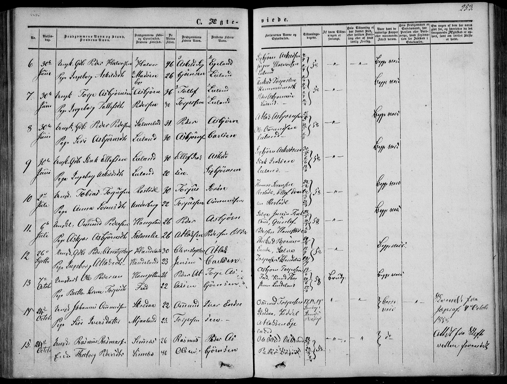 Sirdal sokneprestkontor, AV/SAK-1111-0036/F/Fa/Fab/L0002: Ministerialbok nr. A 2, 1855-1874, s. 253