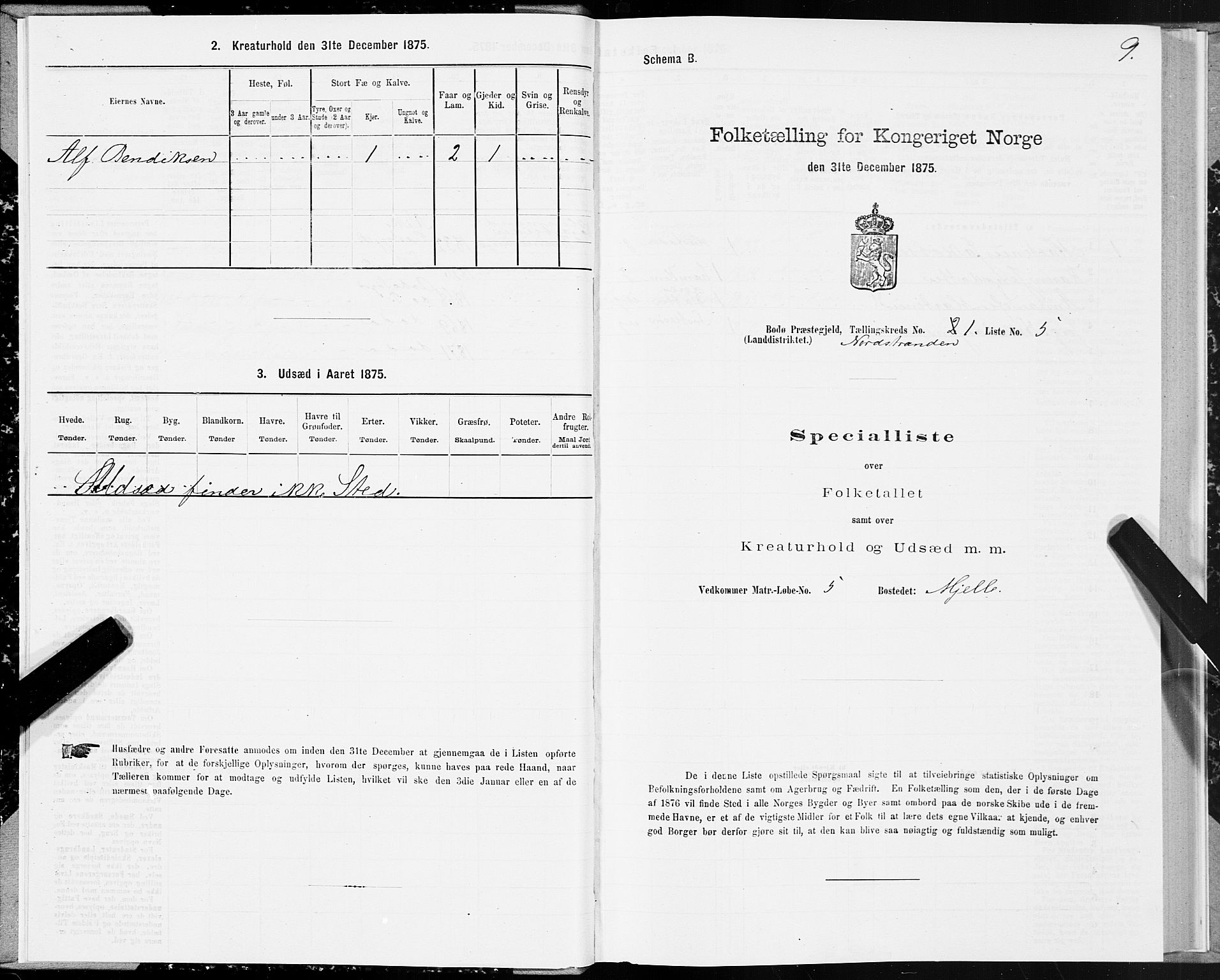 SAT, Folketelling 1875 for 1843L Bodø prestegjeld, Bodø landsokn, 1875, s. 1009