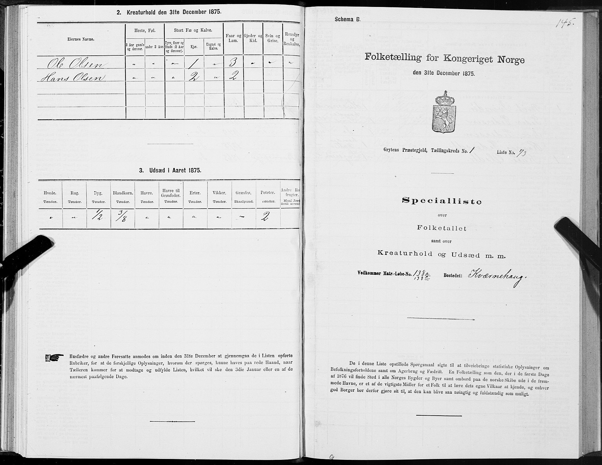 SAT, Folketelling 1875 for 1539P Grytten prestegjeld, 1875, s. 1145