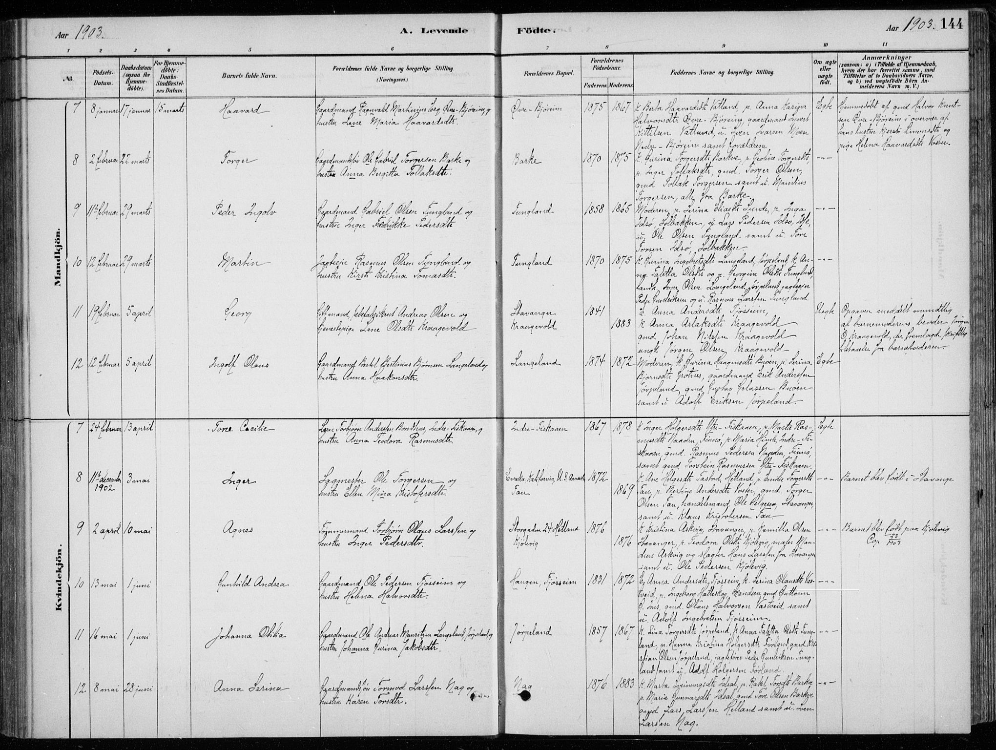 Strand sokneprestkontor, AV/SAST-A-101828/H/Ha/Hab/L0004: Klokkerbok nr. B 4, 1878-1903, s. 144