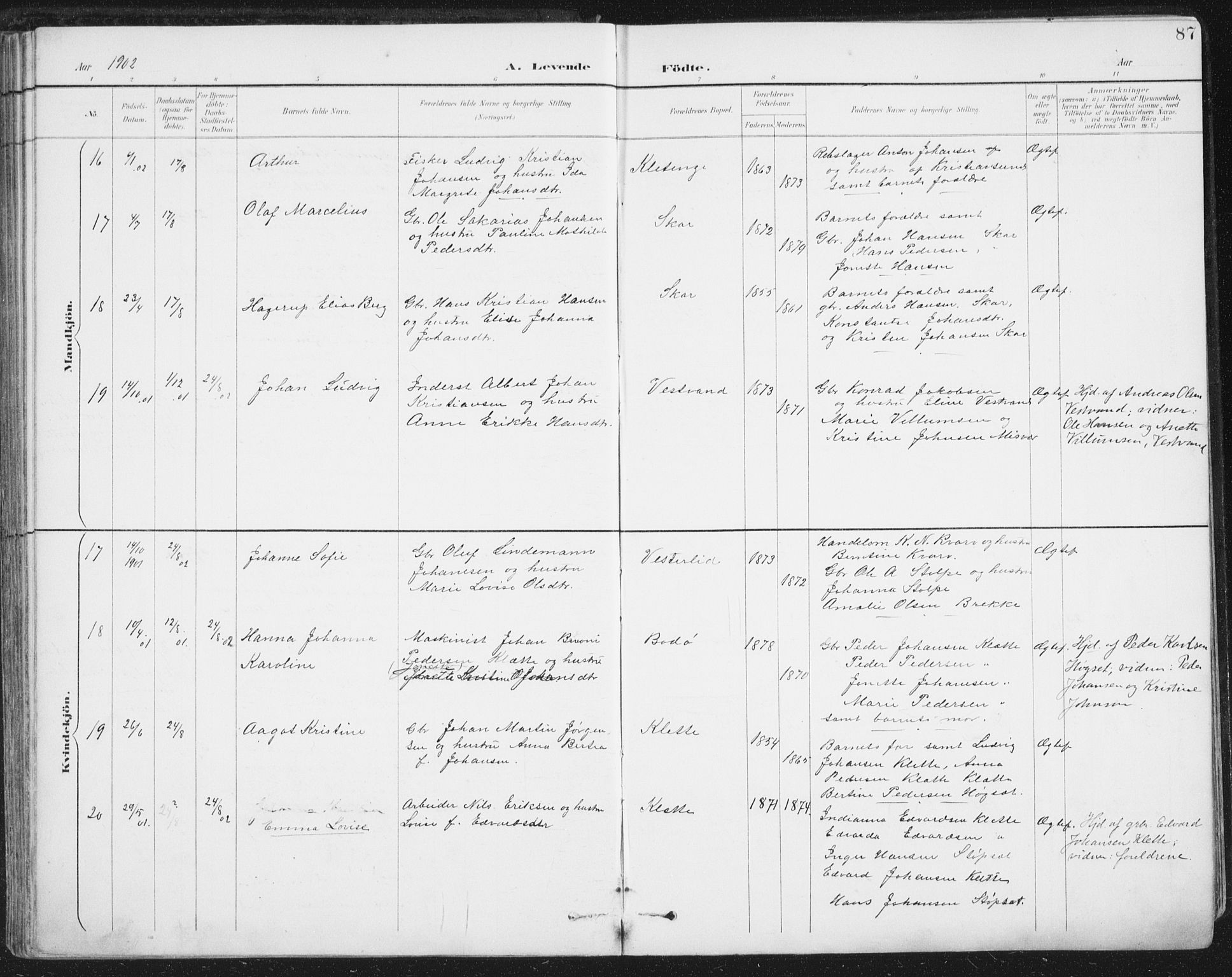 Ministerialprotokoller, klokkerbøker og fødselsregistre - Nordland, AV/SAT-A-1459/852/L0741: Ministerialbok nr. 852A11, 1894-1917, s. 87