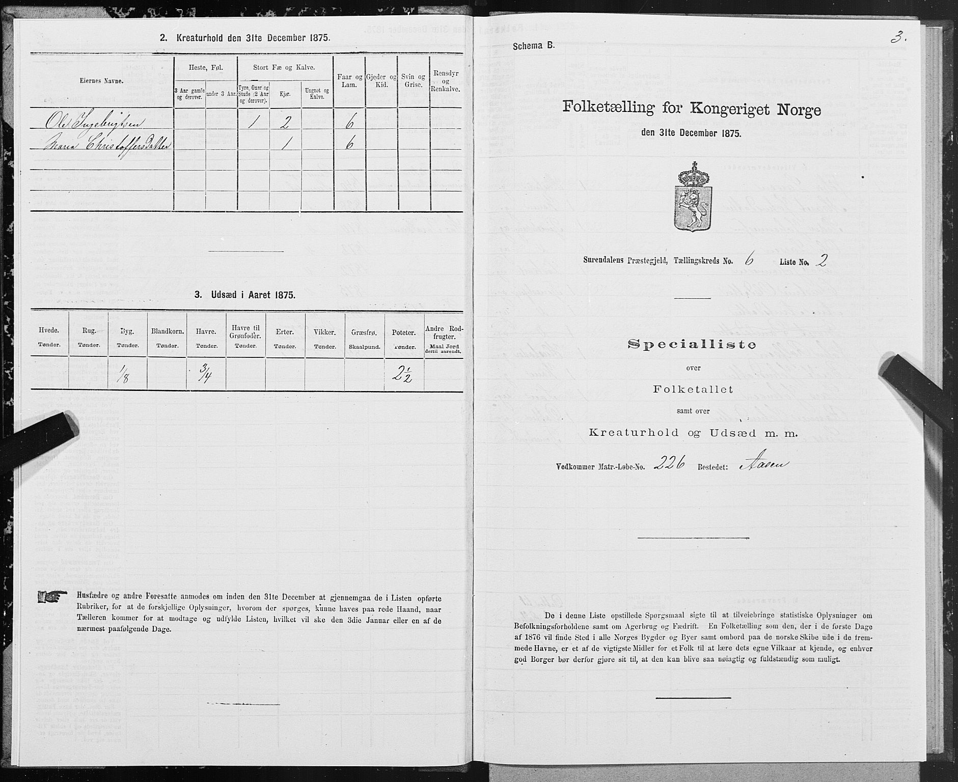 SAT, Folketelling 1875 for 1566P Surnadal prestegjeld, 1875, s. 3003