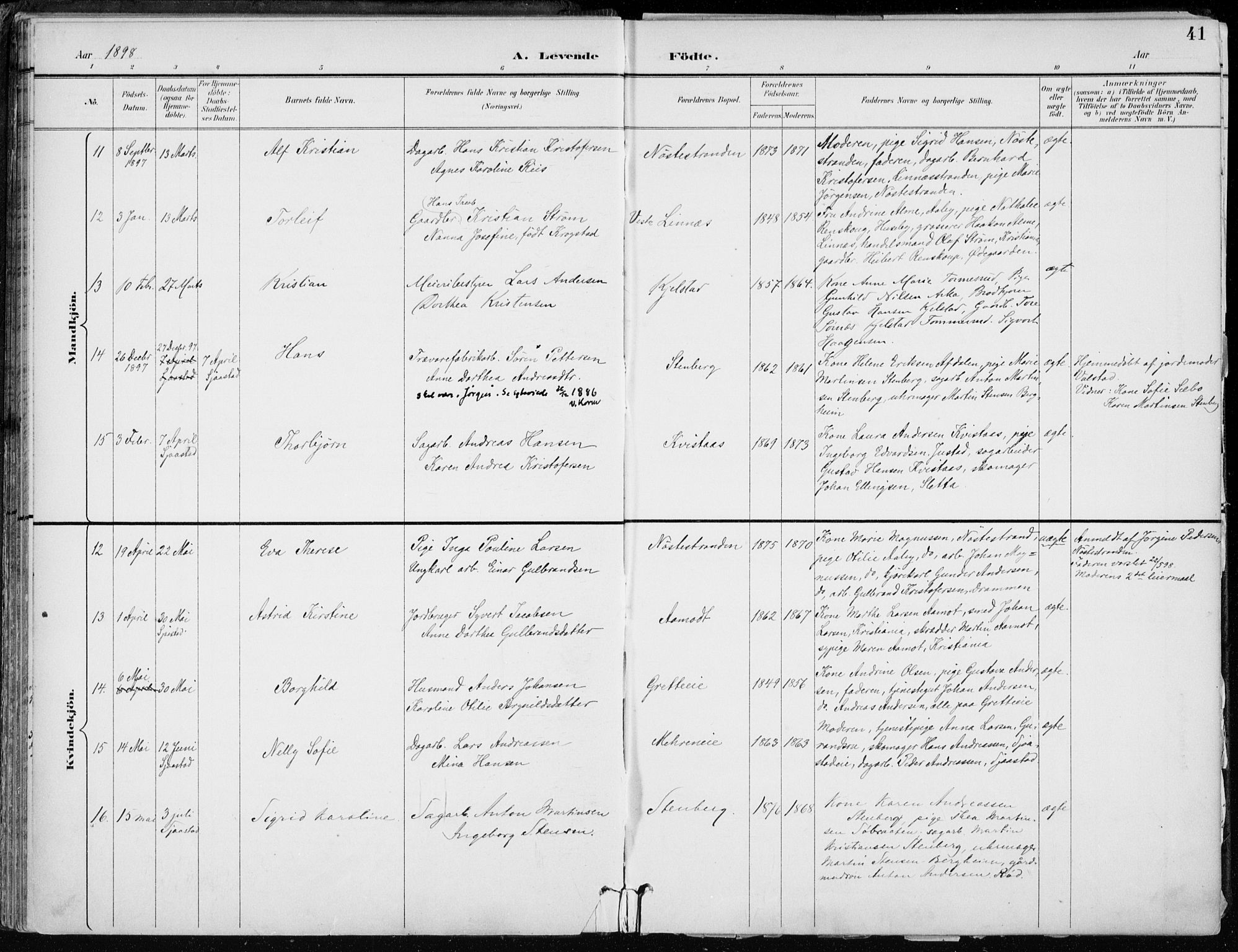 Lier kirkebøker, AV/SAKO-A-230/F/Fa/L0016: Ministerialbok nr. I 16, 1895-1900, s. 41