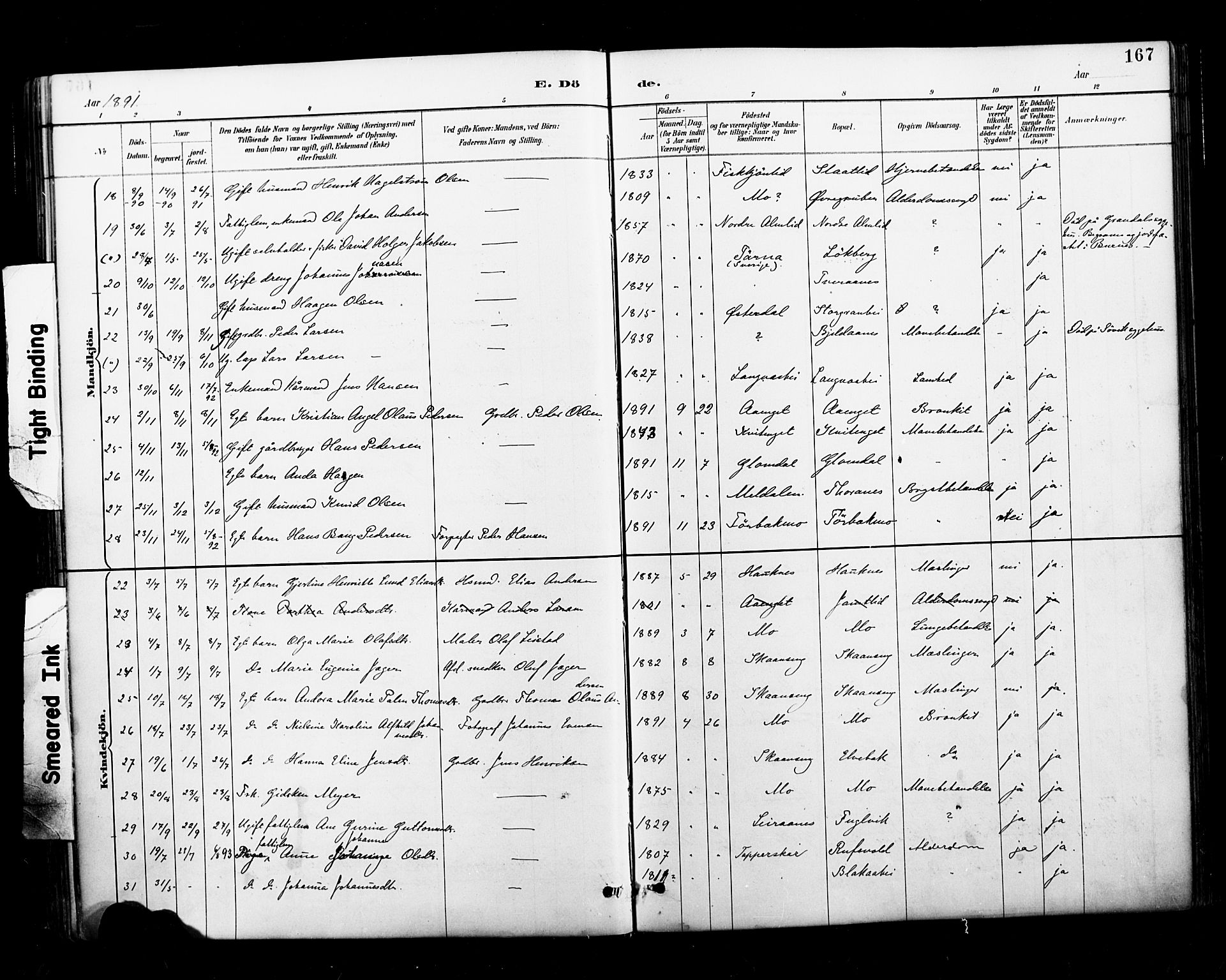 Ministerialprotokoller, klokkerbøker og fødselsregistre - Nordland, AV/SAT-A-1459/827/L0401: Ministerialbok nr. 827A13, 1887-1905, s. 167