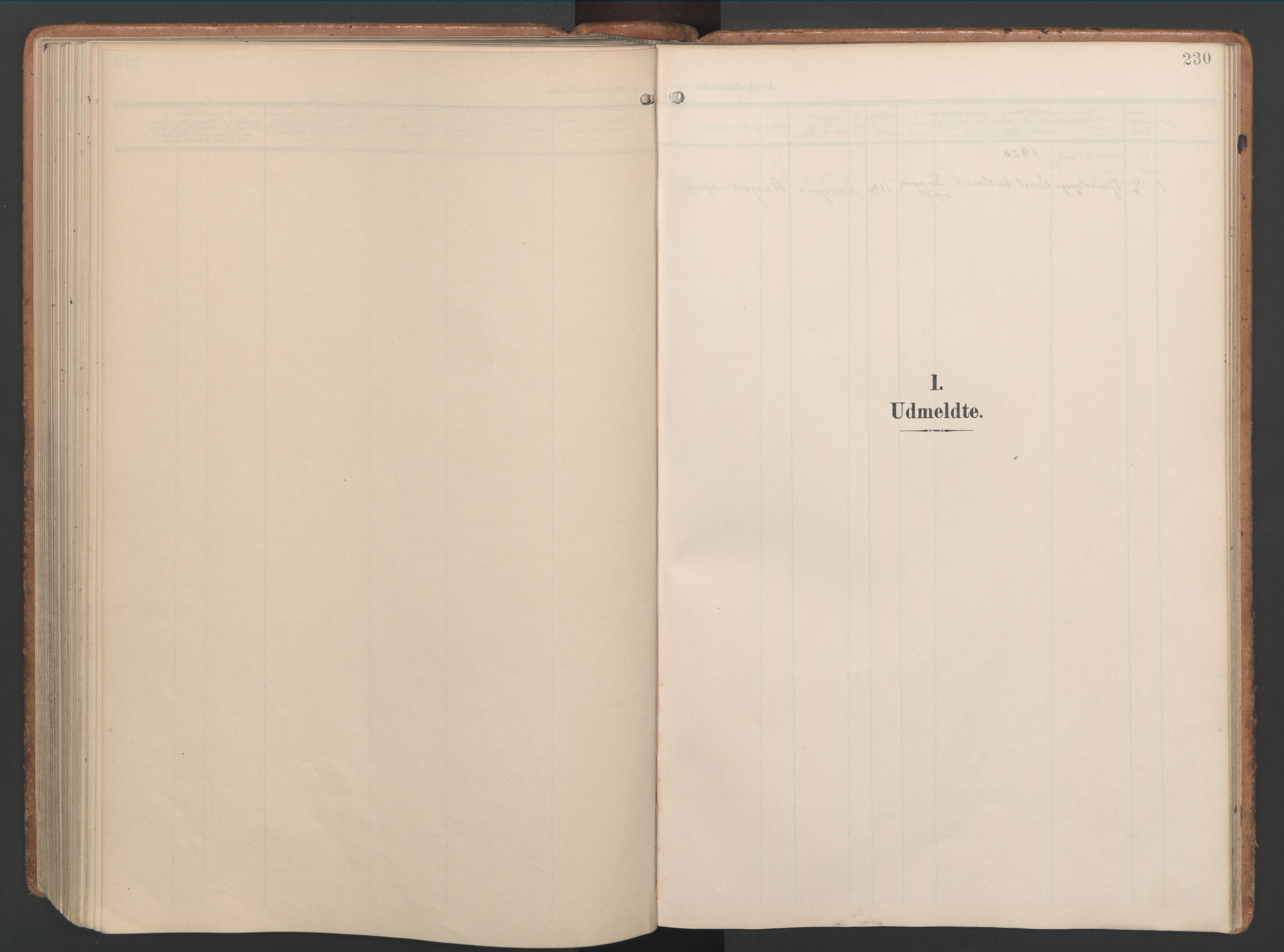 Ministerialprotokoller, klokkerbøker og fødselsregistre - Møre og Romsdal, AV/SAT-A-1454/592/L1030: Ministerialbok nr. 592A08, 1901-1925, s. 230